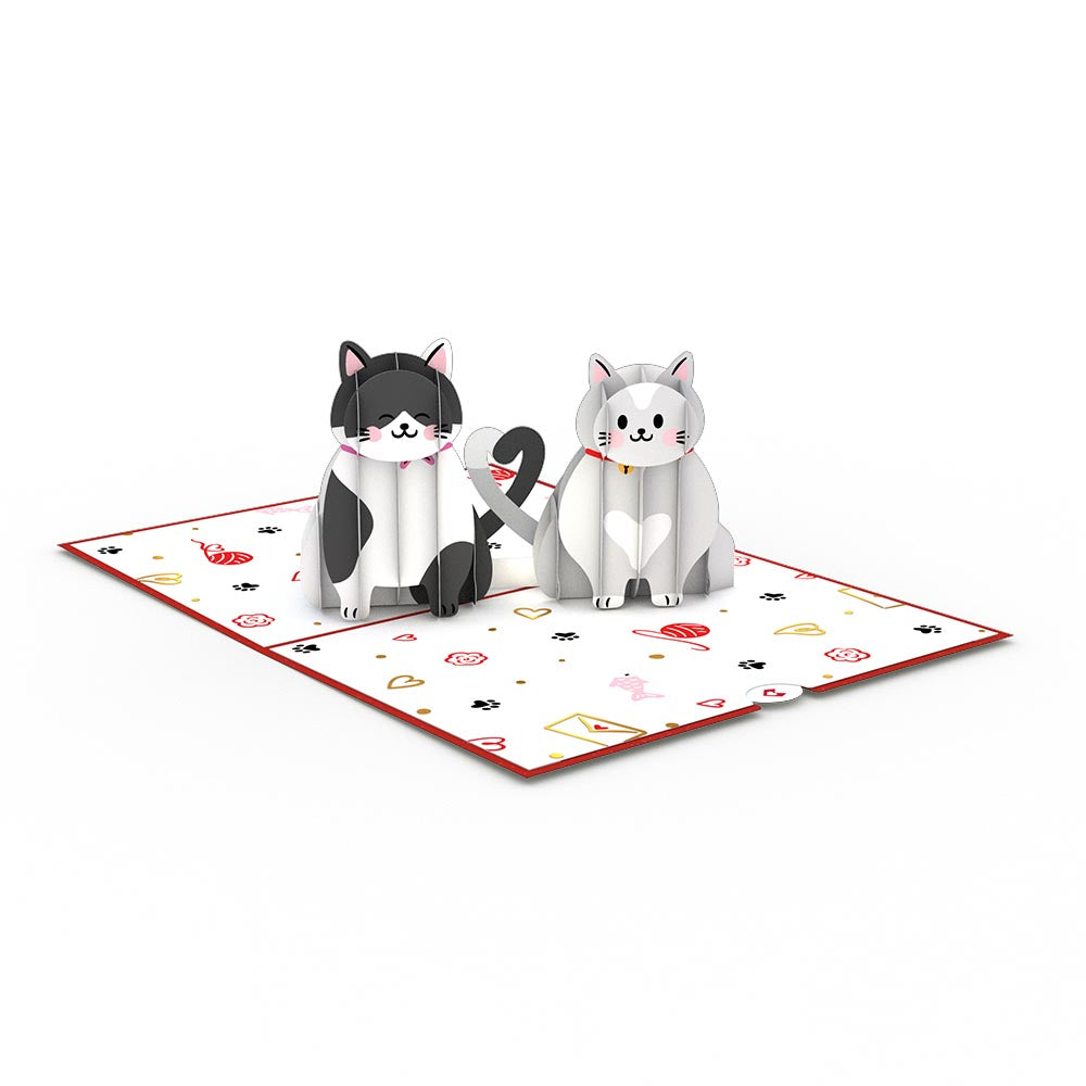 Dynamic Duos Love 3-Pack、mySite、solidvoid