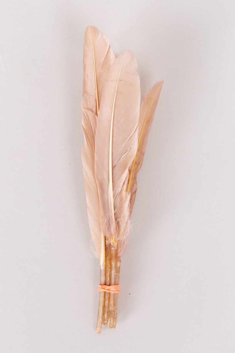 Mini Goose Feathers Bundle of 6- Orange Rubber Band - FINAL SALE、mySite、hinf8tx79