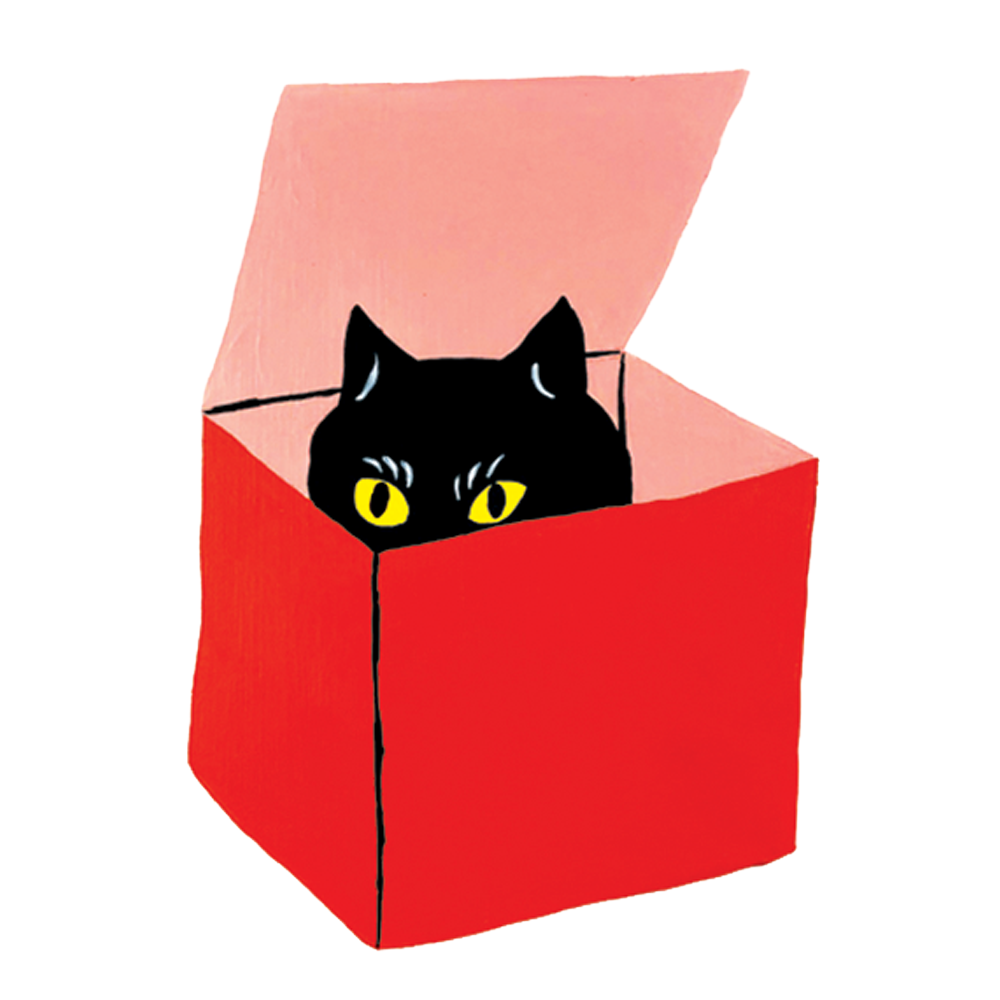  Cat in a Box Tattly Temporary Tattoos、mySite、ghnorth