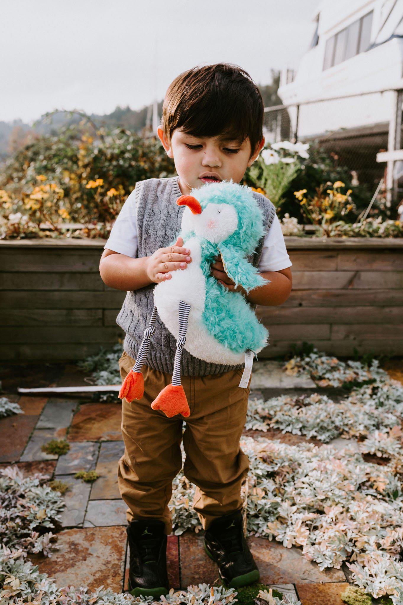 RETIRED - Piper the Sandpiper、mySite、g9winljtr