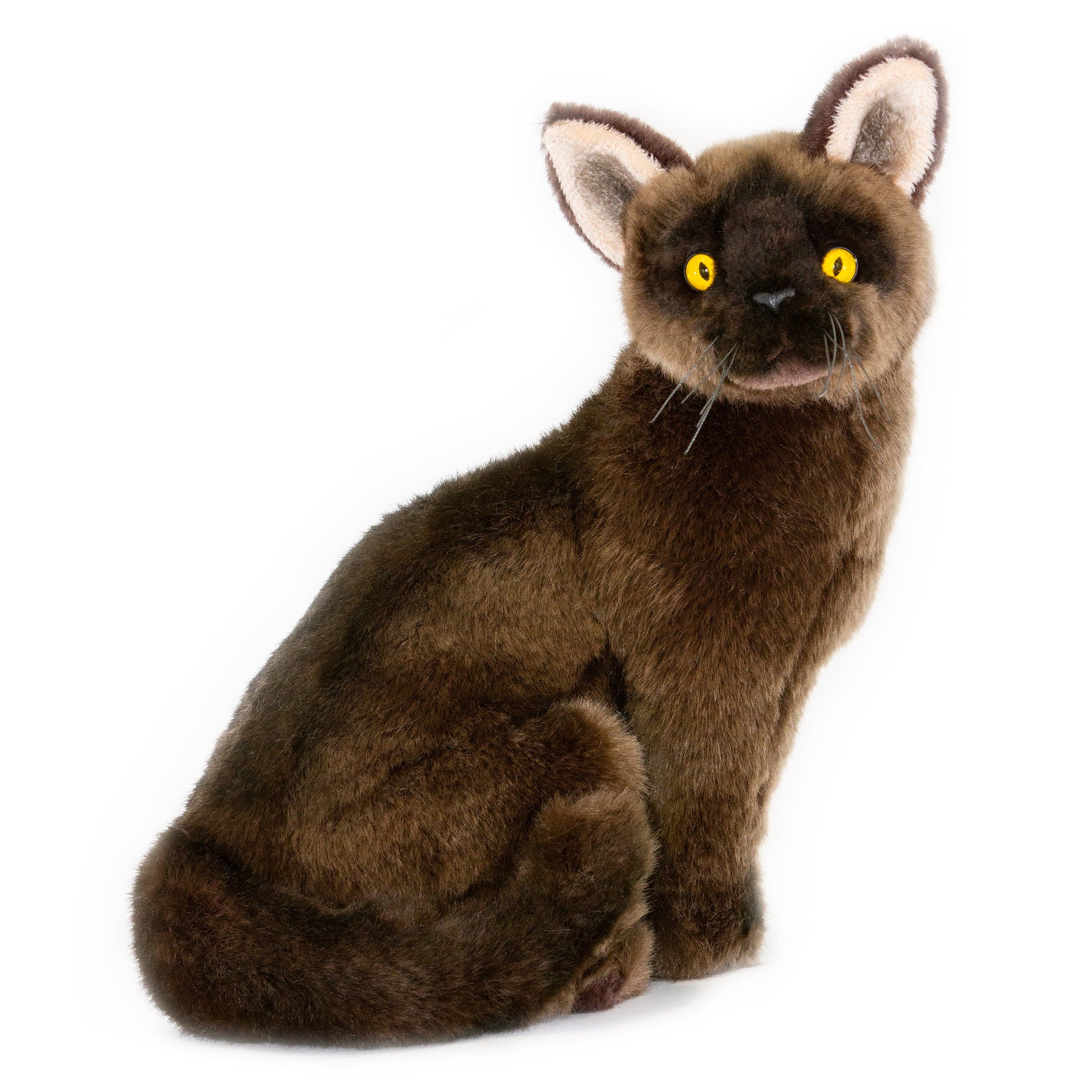 Sable (dark brown) Burmese Cat or Kitten Stuffed Animal、mySite、g9winljtr