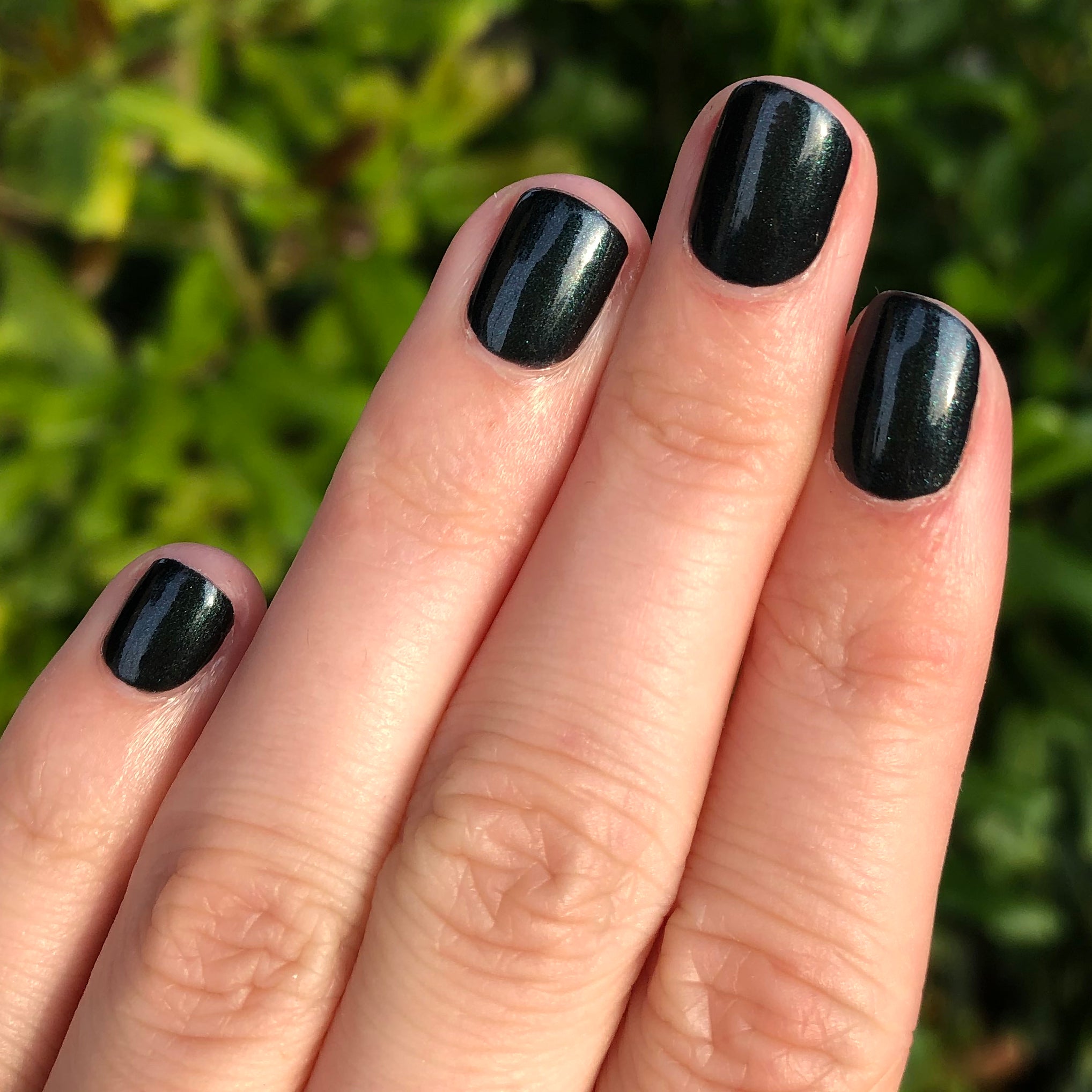 LL、mySite、solidvoid