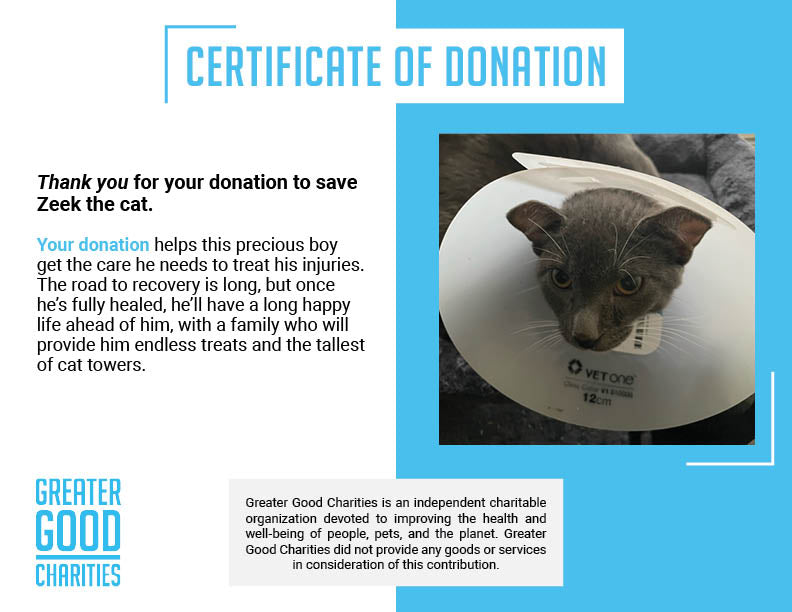 Funded: Help Zeek Walk Without Pain、mySite、camillekostekn