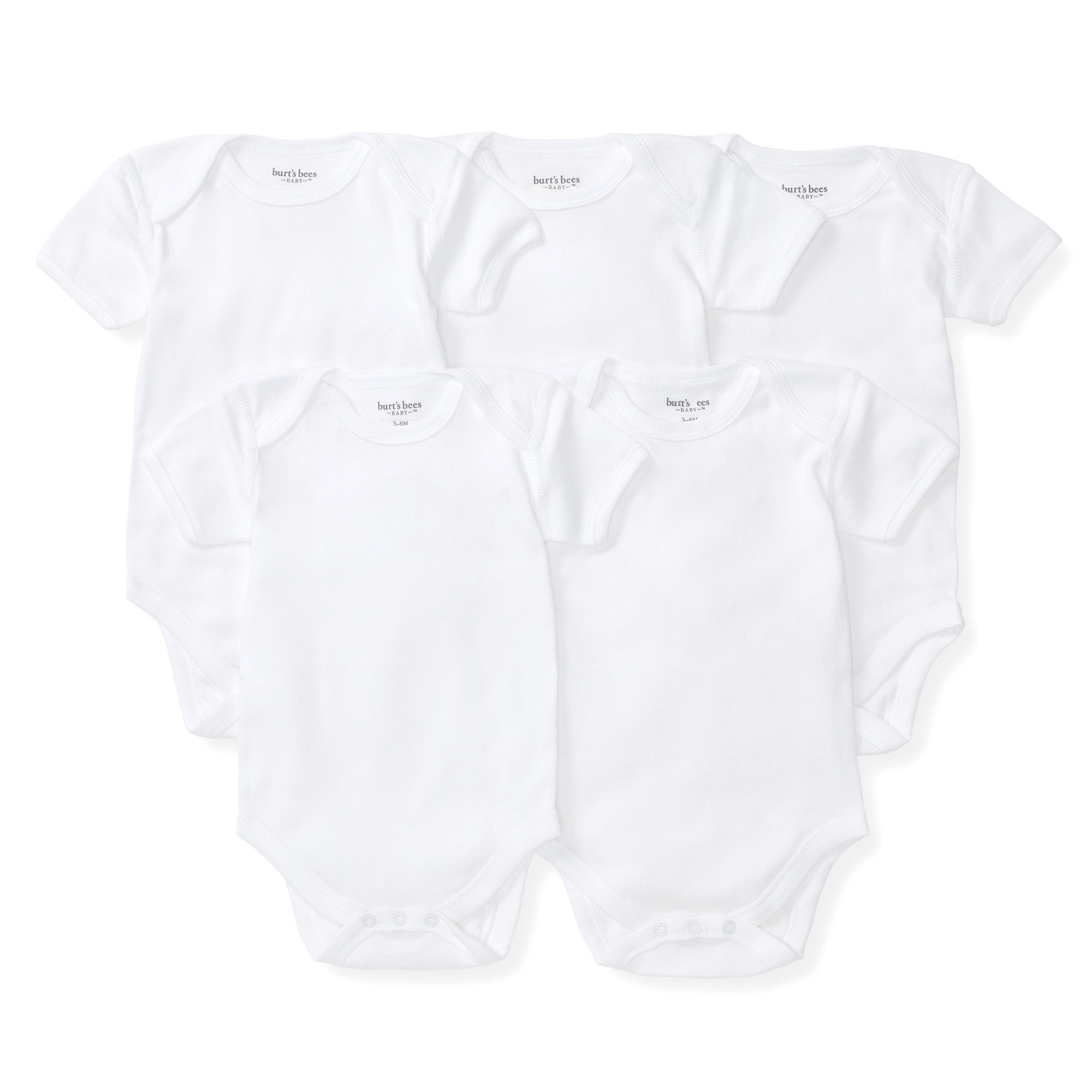  Bee Essentials Organic Short Sleeve Baby Bodysuit 5 Pack、mySite、layawaytickets