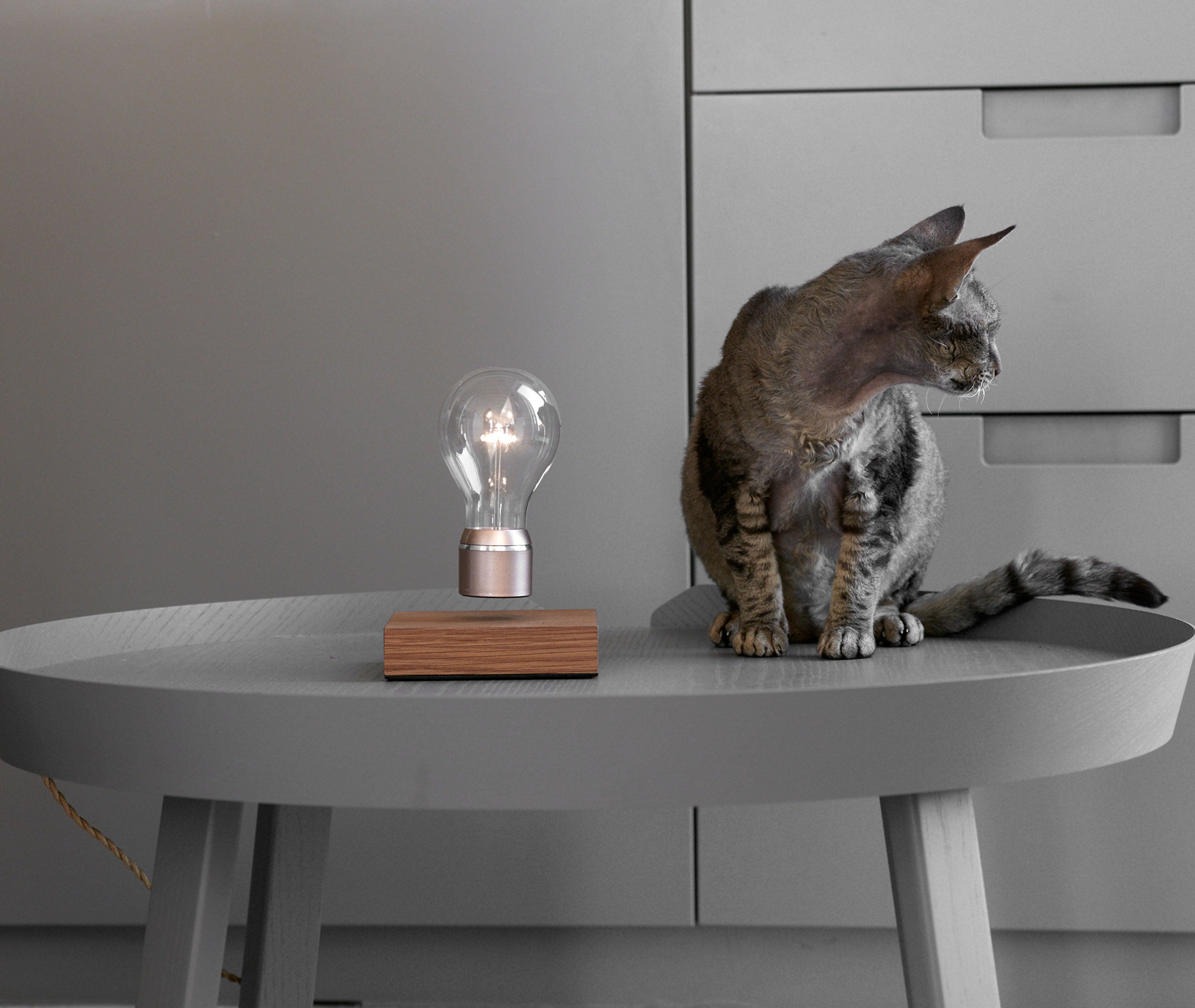 Flyte Buckminster、mySite、topwebapps