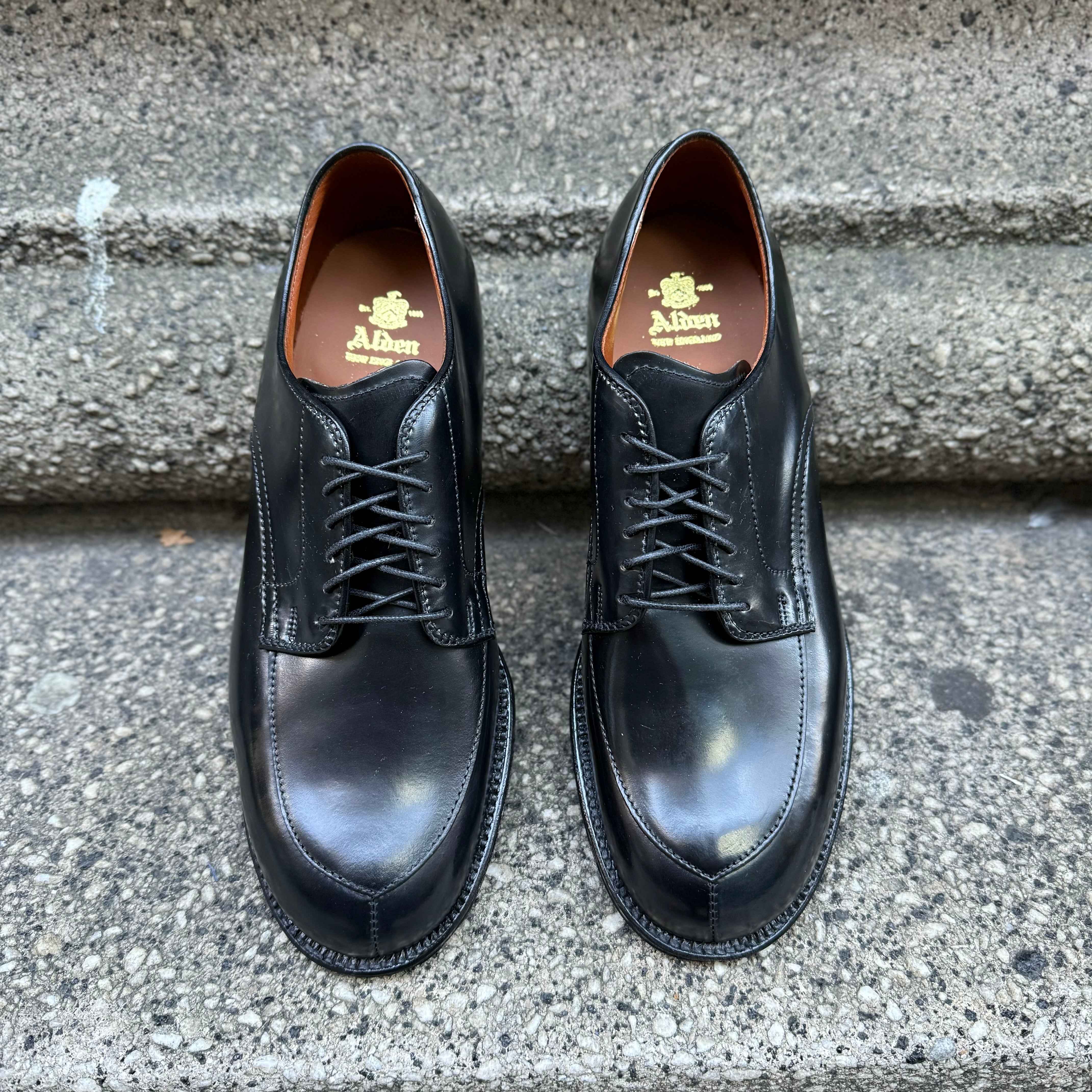  N6406 - Black Shell V-Tip on 379X、mySite、preschool7hills