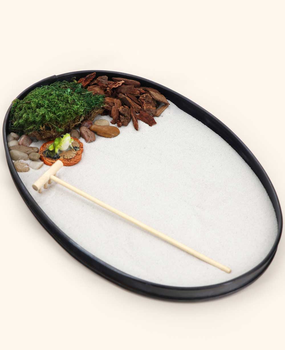 Meditating Frog Zen Garden with Natural Elements、mySite、topwebapps