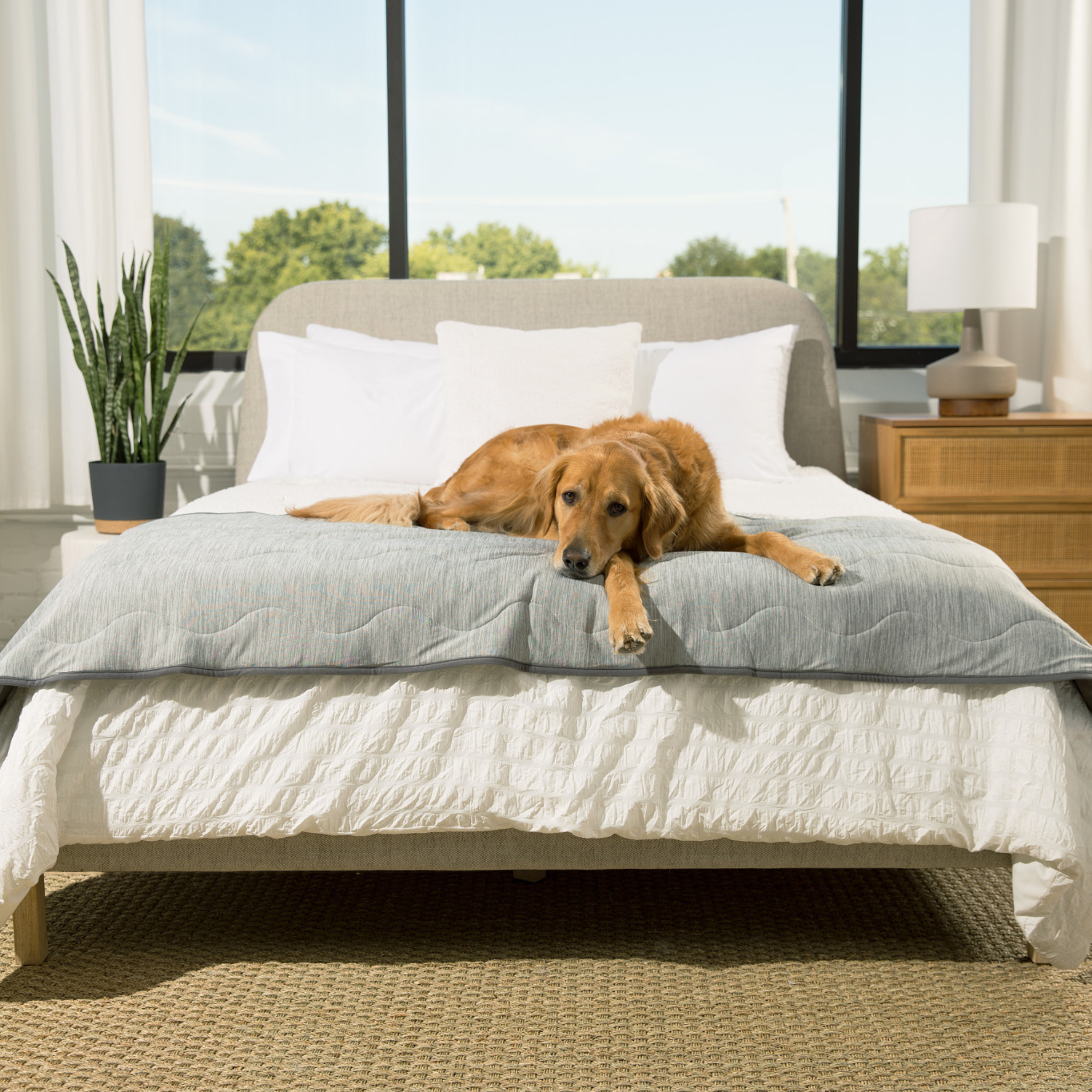 PupChill™ Cooling Waterproof Runner Blanket - Arctic Grey、mySite、solidvoid