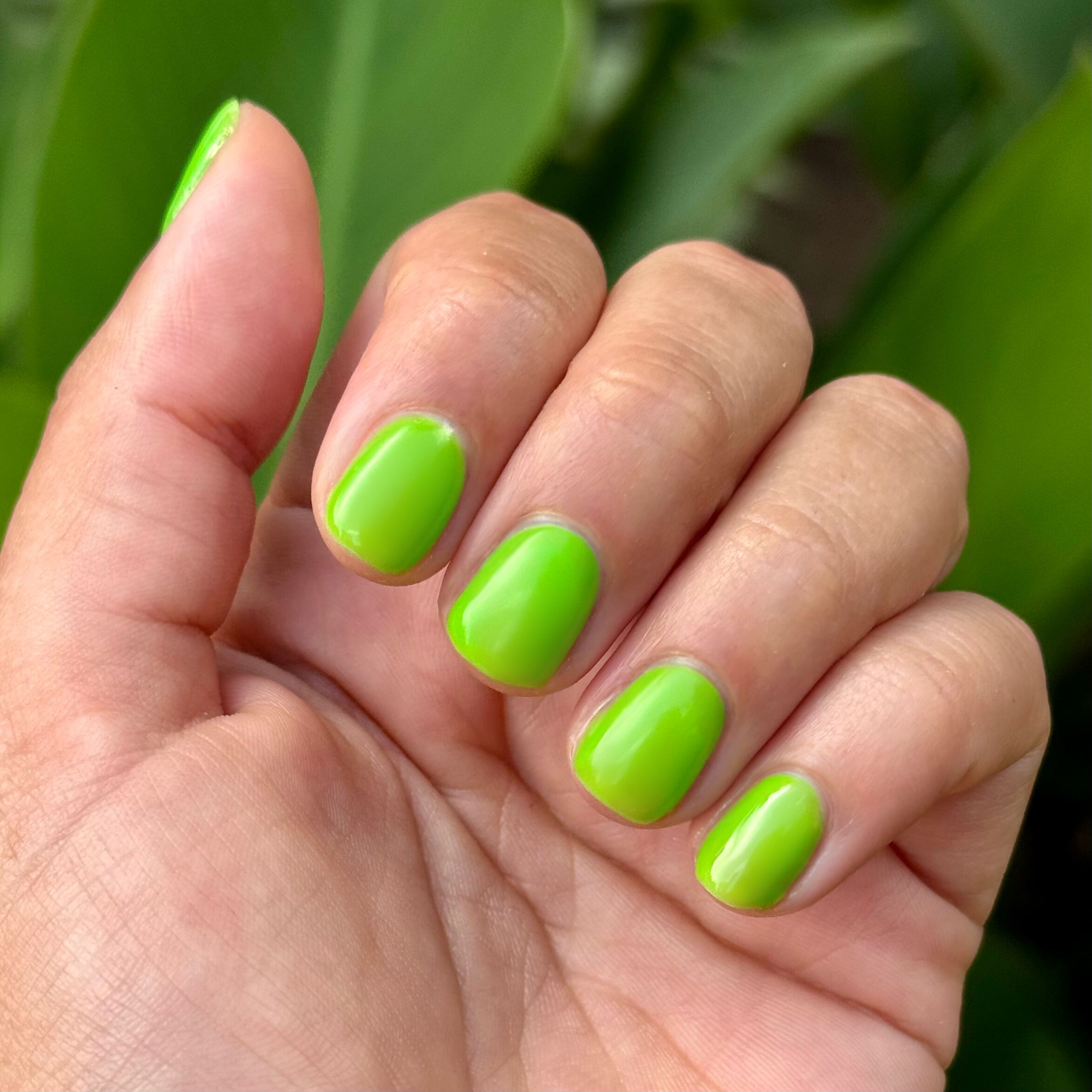 Cancel My Return Flight - Gel、mySite、solidvoid