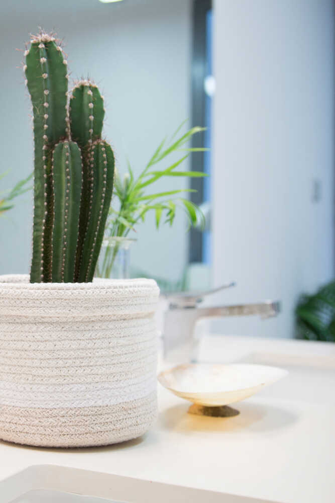 STORAGE BASKET MINI TRICOLOR IVORY、mySite、gigharbornorthrealestate