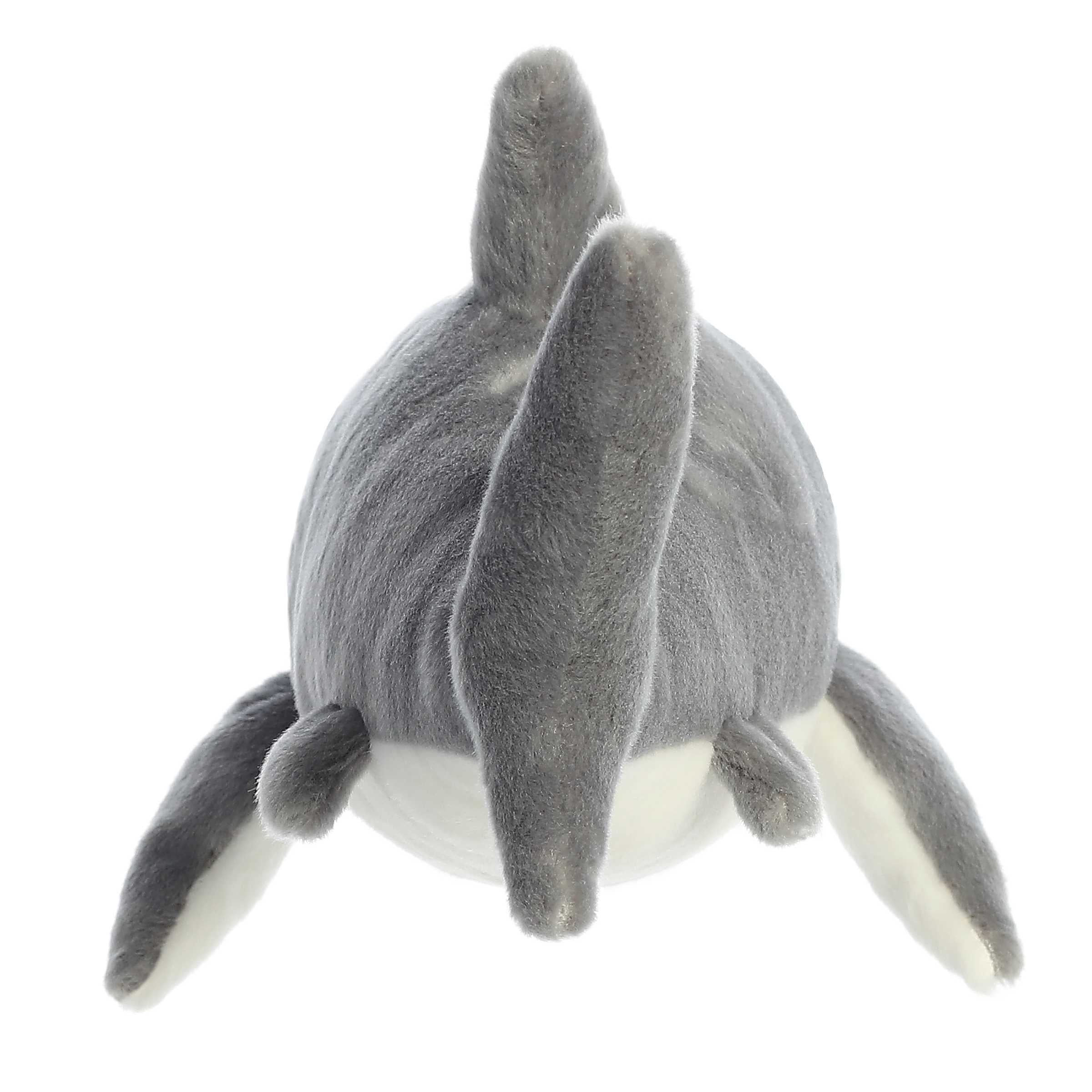 Aurora® - Destination Nation™ - 17 Great White Shark、mySite、g9winljtr