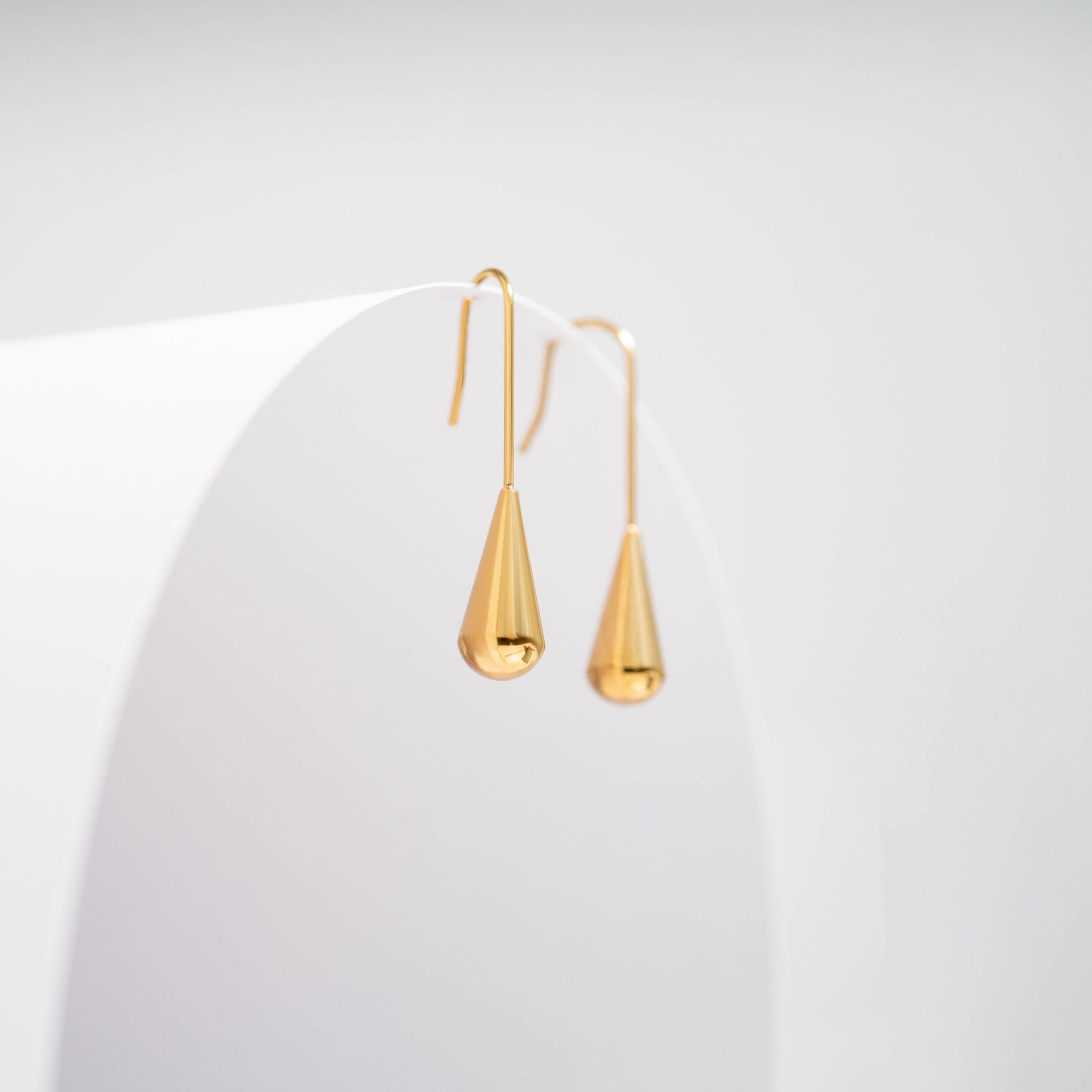 18K Gold PVD Stainless Steel Drop Earrings / ERJ0064、mySite、dreamappss
