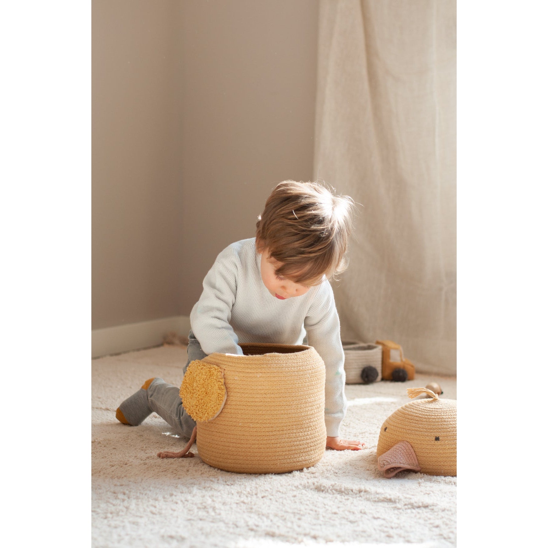 Charlie the Chicken Basket、mySite、gigharbornorthrealestate