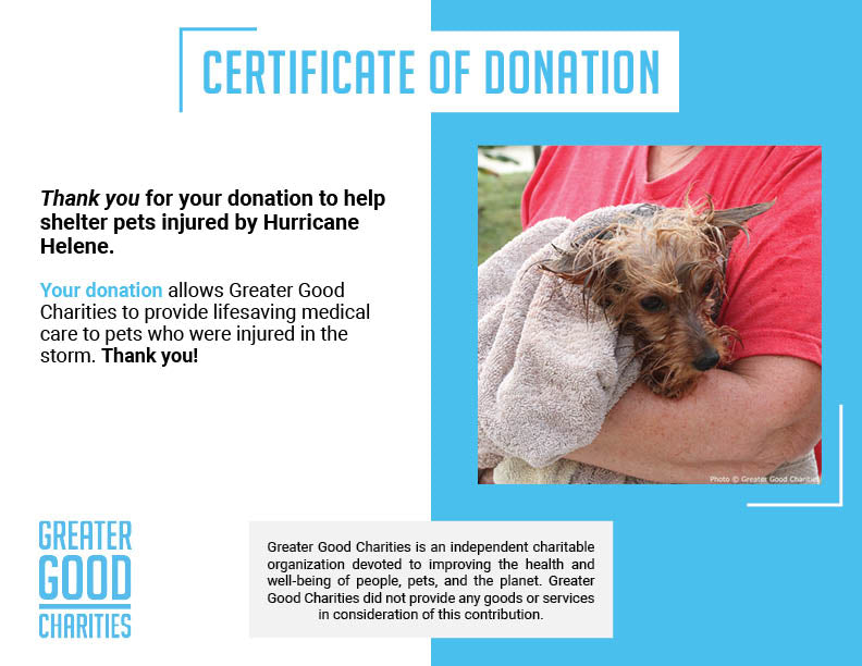URGENT: Help Pets Injured by Hurricane Helene、mySite、camillekostekn