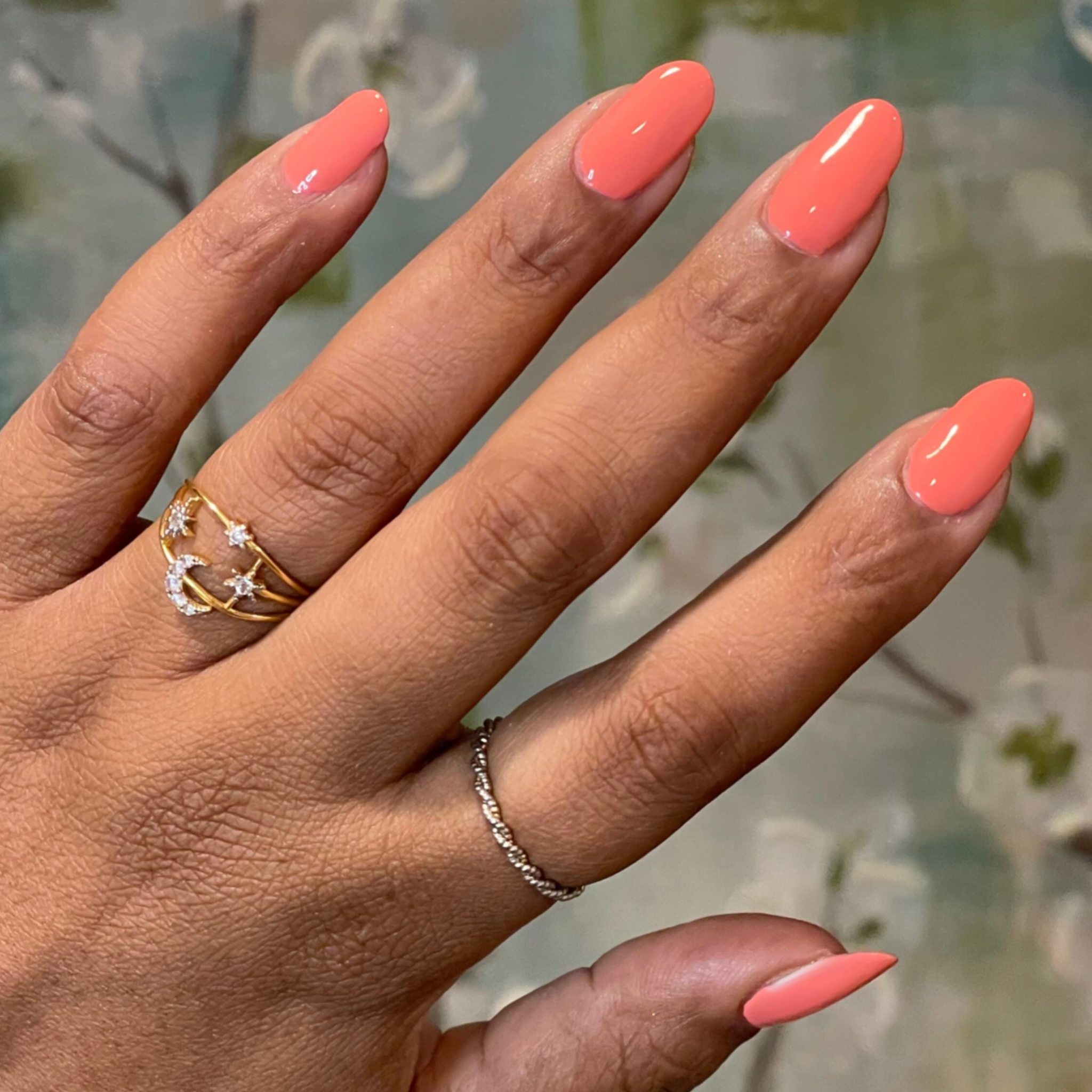 Frolic、mySite、solidvoid