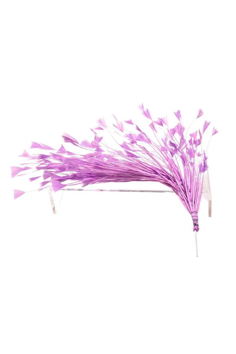 Turkey Feather Bunch - FINAL SALE、mySite、hinf8tx79