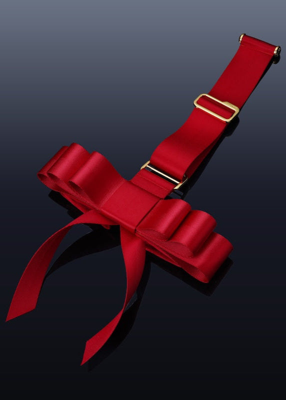  Bowknot Over-the-door Hand Restraint Gear、mySite、justintrudeaud
