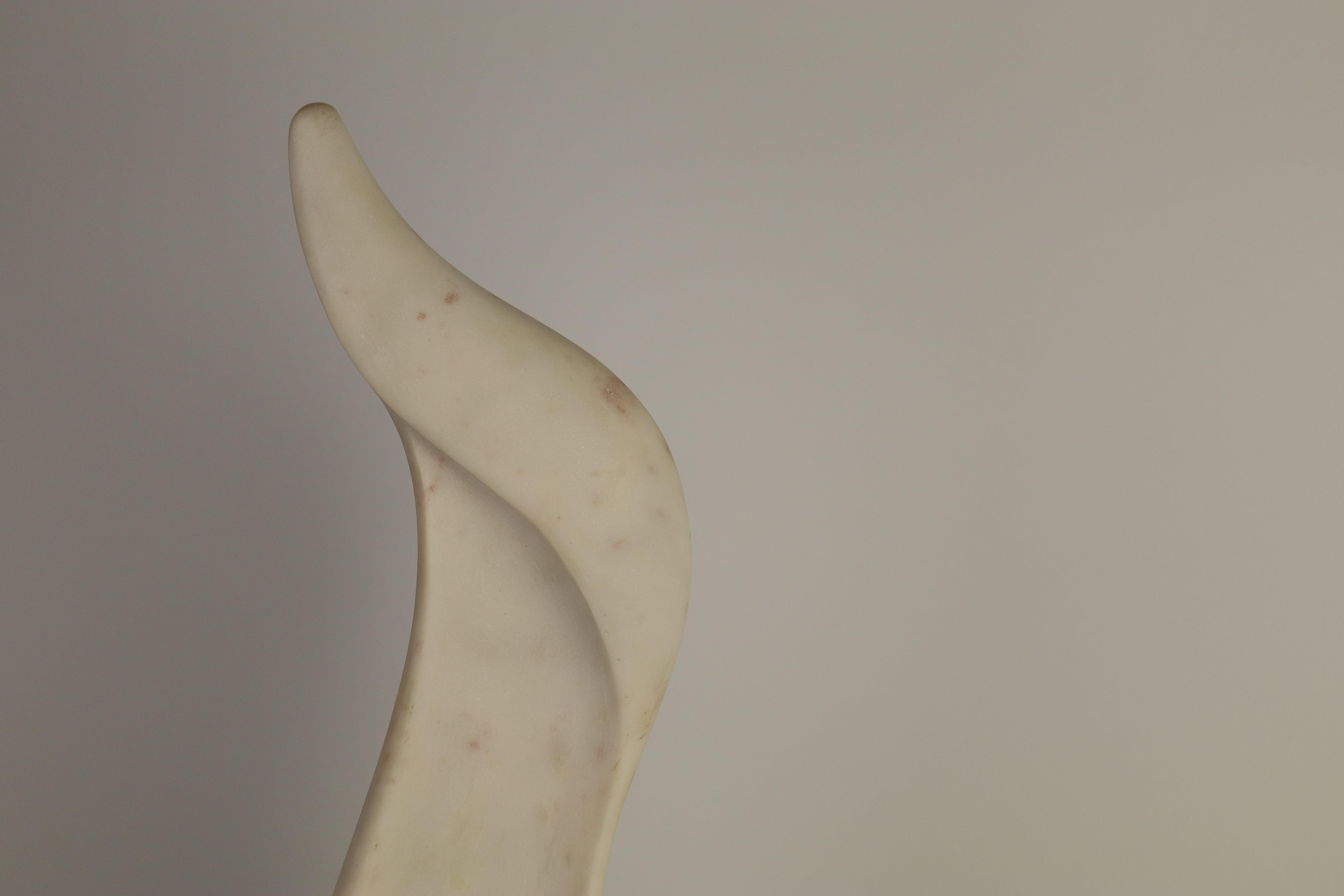 Seashell - White Marble (50 cm)、mySite、topwebapps