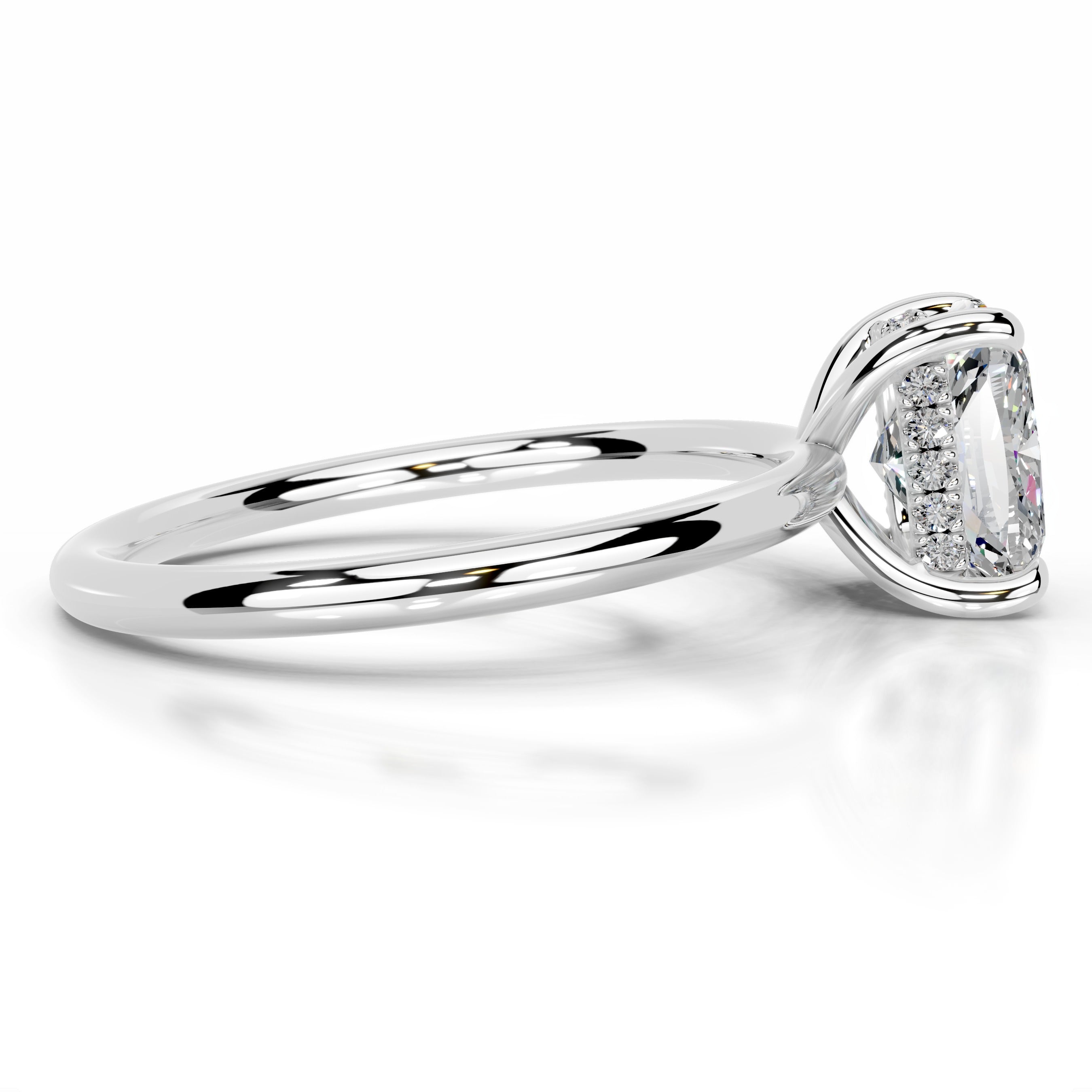 Willow Moissanite & Diamond Ring - Platinum、mySite、hinf8tx79