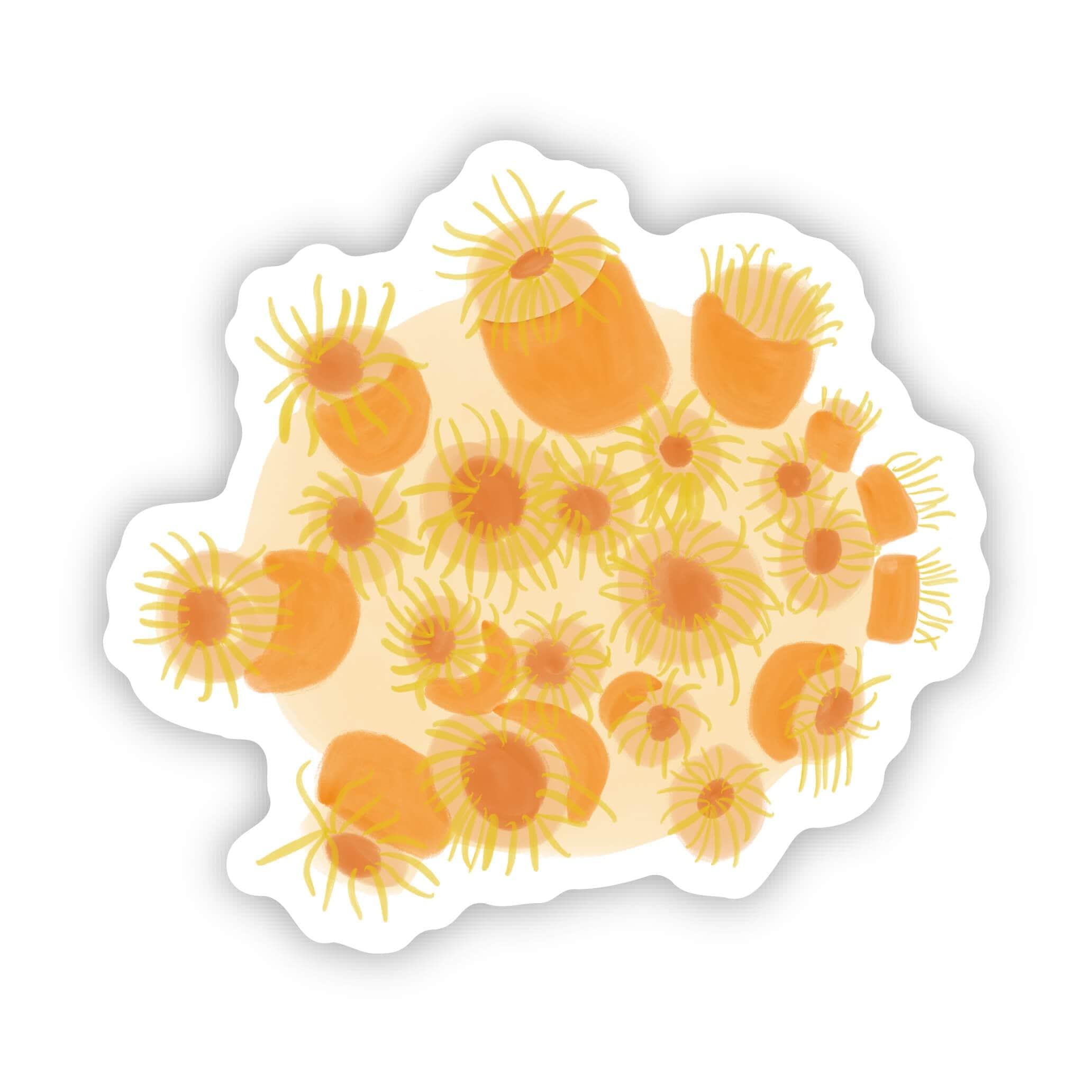  Soft Coral Reel Sticker、mySite、elrpsem3k