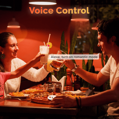 WiFi E27 Smart Edison LED Light Bulbs 16 Million RGB Color Changing 2700K-6500K Dimmable、mySite、fannypackpong