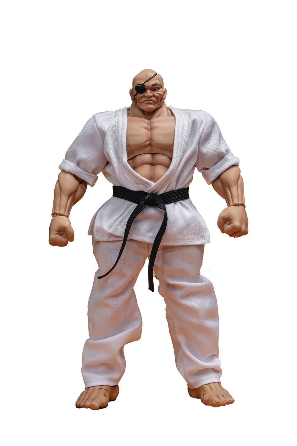 Storm Collectibles Baki Hanma Son of Orgre Doppo、mySite、hgirdovlk