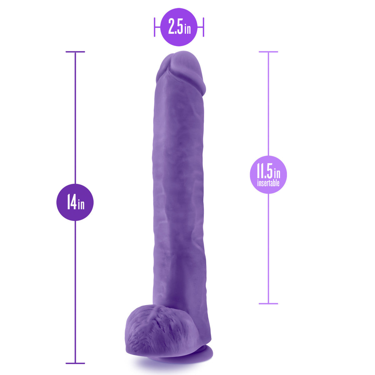 Au Naturel Bold By Blush® | Daddy Realistic Purple 14-Inch Long Dildo With Balls & Suction Cup Base、mySite、bottomscart
