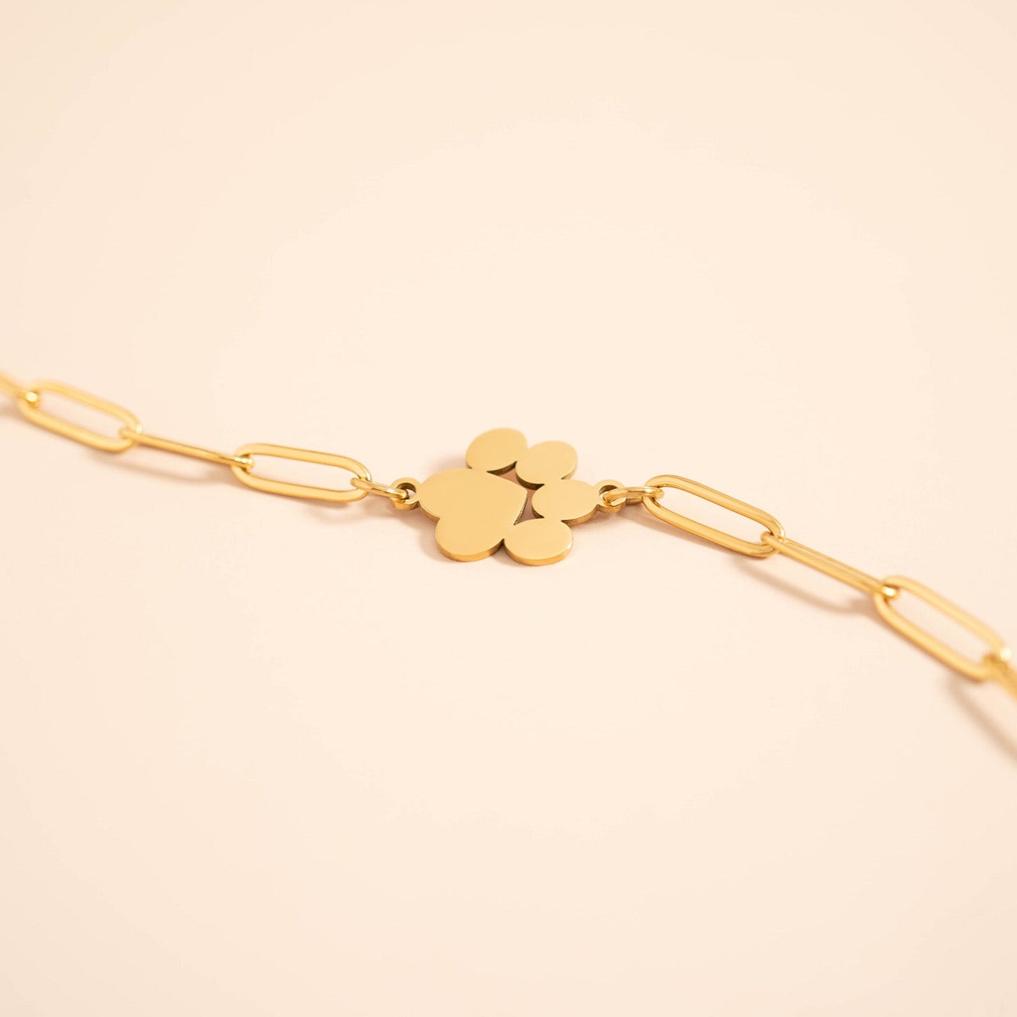 18K Gold PVD Paperclip Connector Chain Necklace / CHN0080、mySite、dreamappss