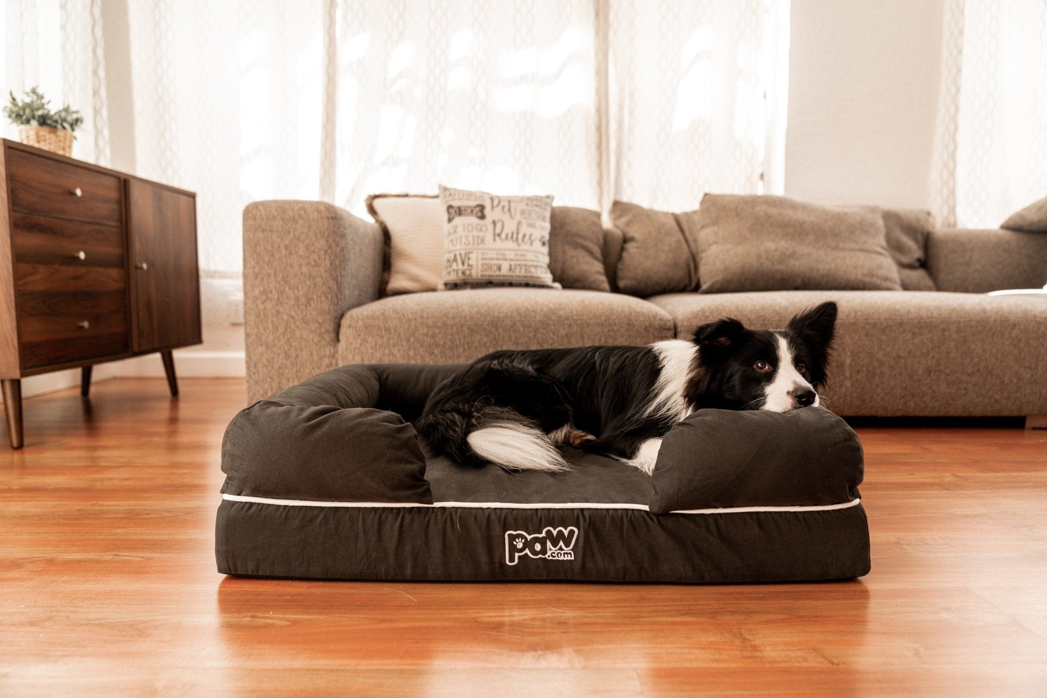 PupLounge™ Memory Foam Dog Bed Cover - Charcoal Grey (Bed Not Included) - Small、mySite、solidvoid