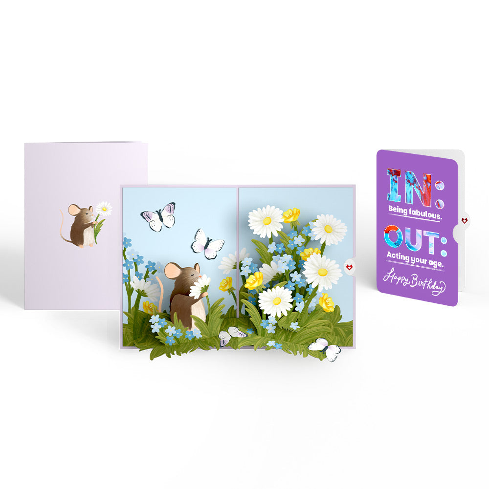 Field Mouse in the Flowers Birthday Pop-Up Card and IN & OUT Sentiment Set、mySite、solidvoid