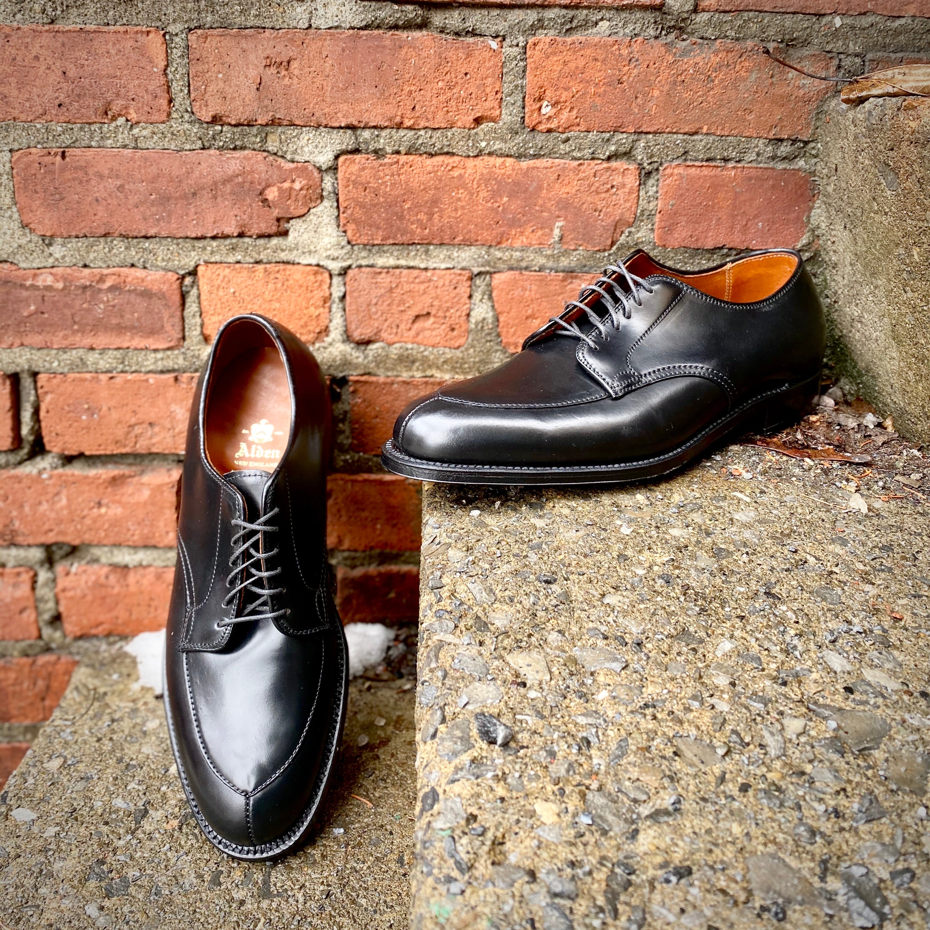  D6617 - V-Tip Split Toe Blucher in Black Shell Cordovan、mySite、preschool7hills