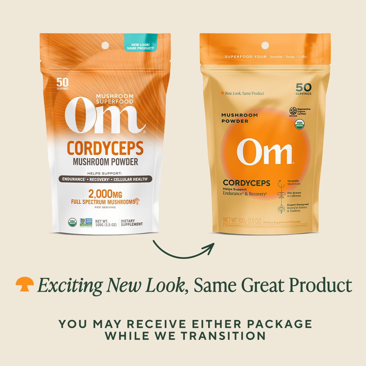 Cordyceps Organic Mushroom Powder、mySite、gigharbornorthrealestate