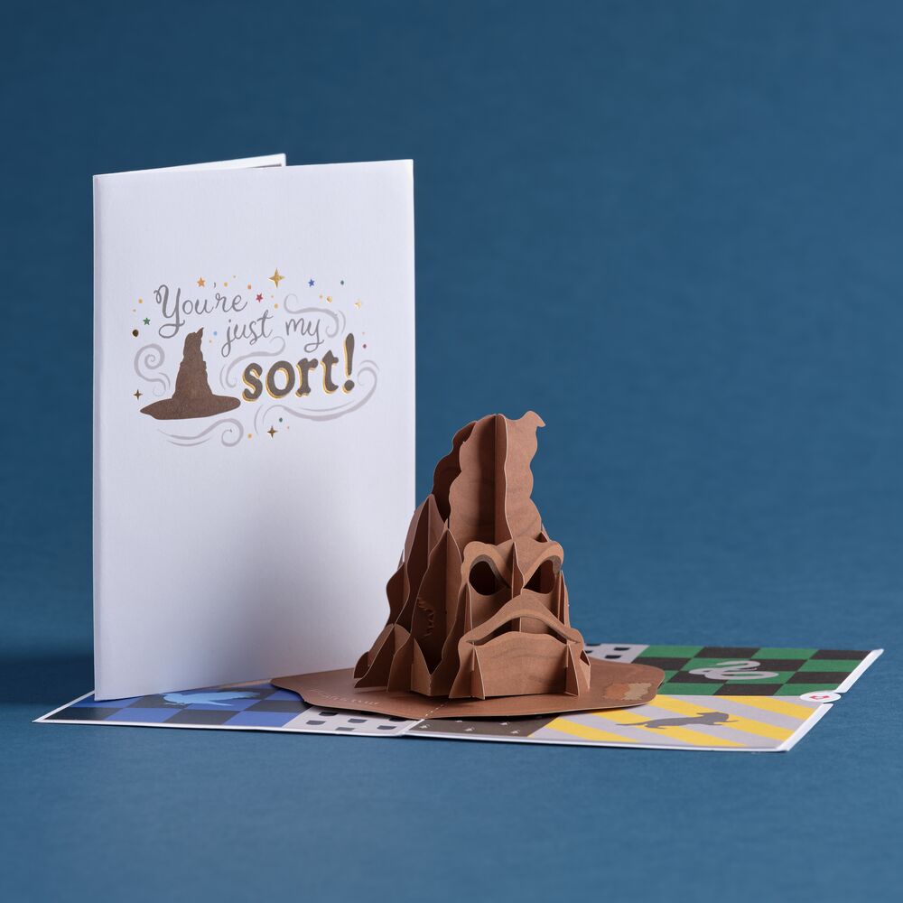 Harry Potter™ You're Just My Sort Pop-Up Card、mySite、solidvoid