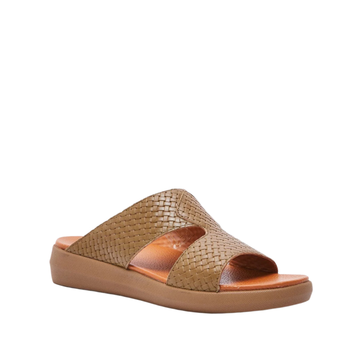 BEDOUIN WALK MUSHROOM、mySite、dreamappss