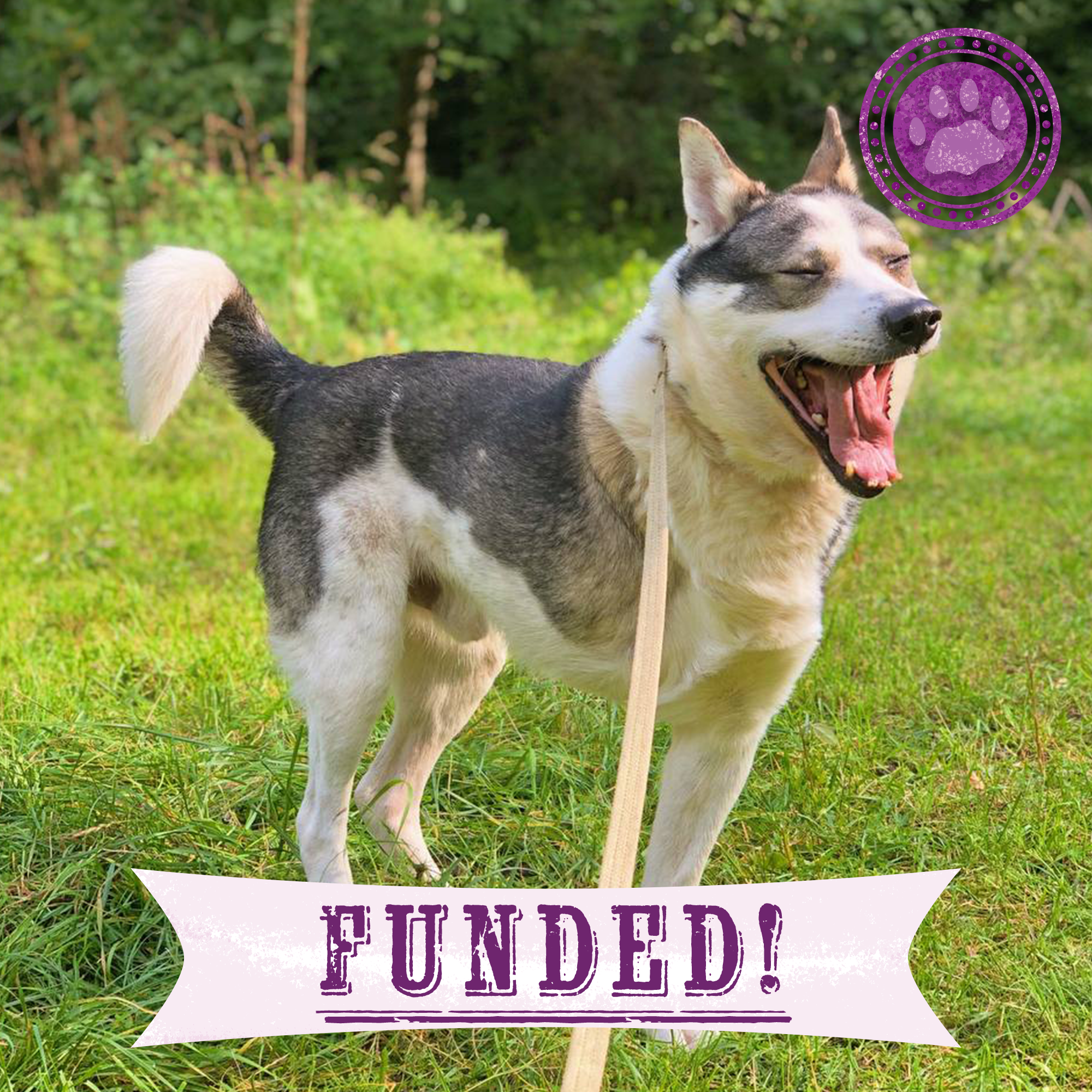 Funded: Zubik was Injured in a Missile Strike: You Can Help、mySite、camillekostekn