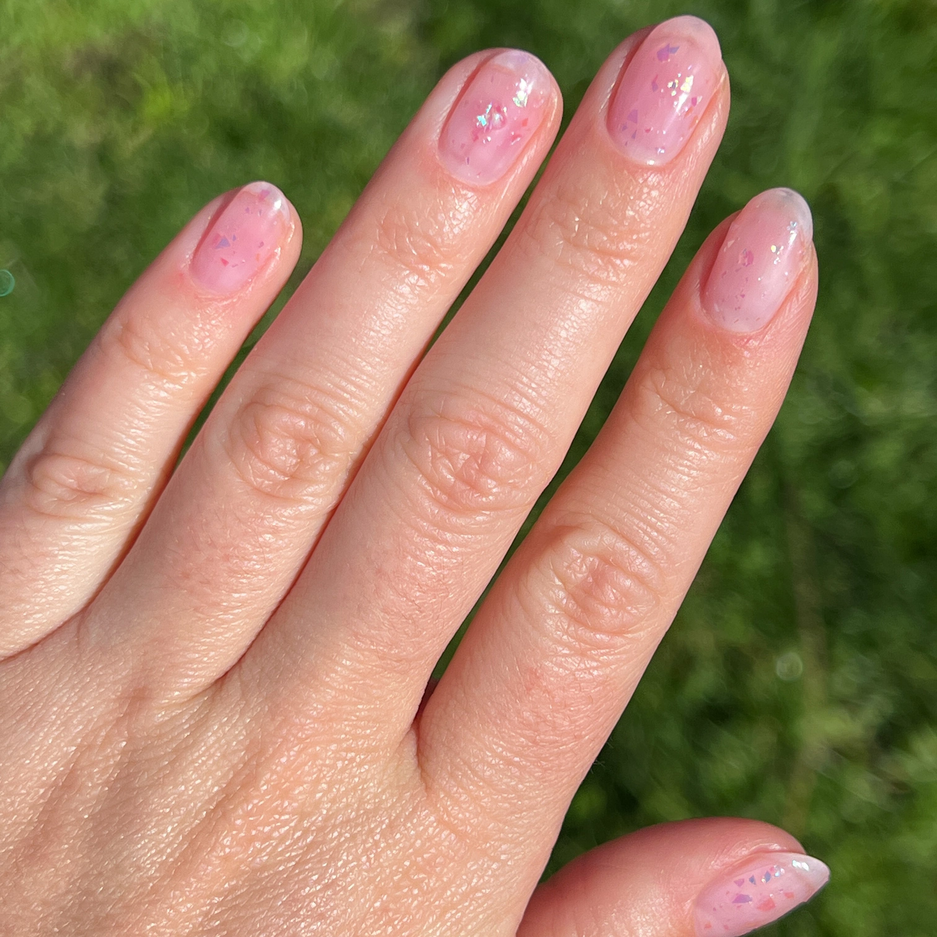 jelly baby、mySite、solidvoid