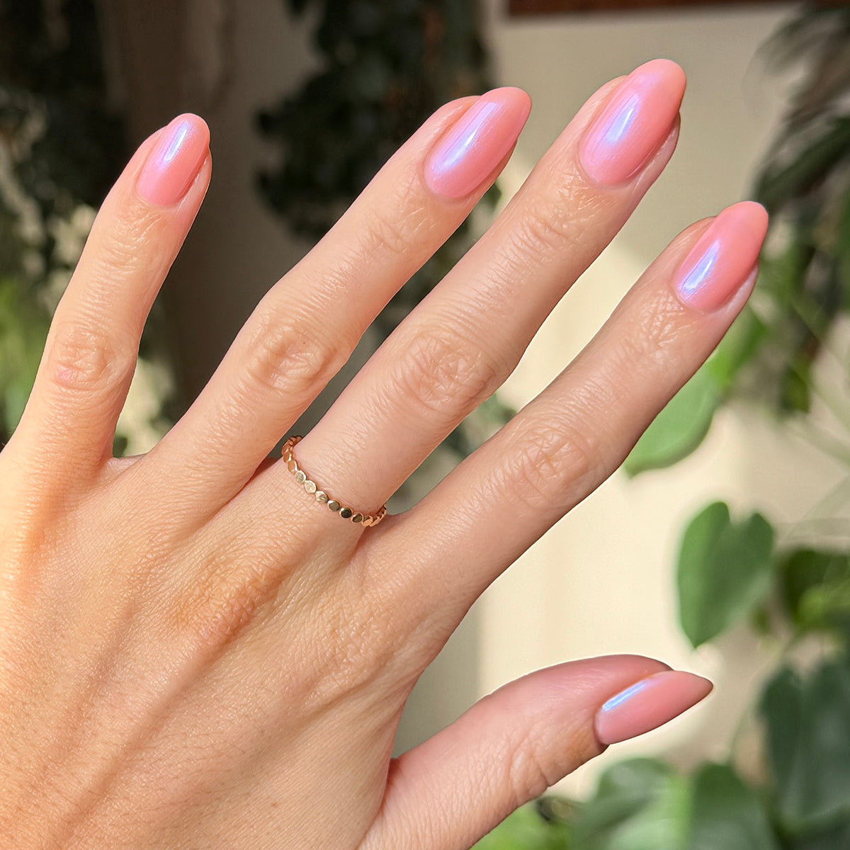 Olive Y'all、mySite、solidvoid