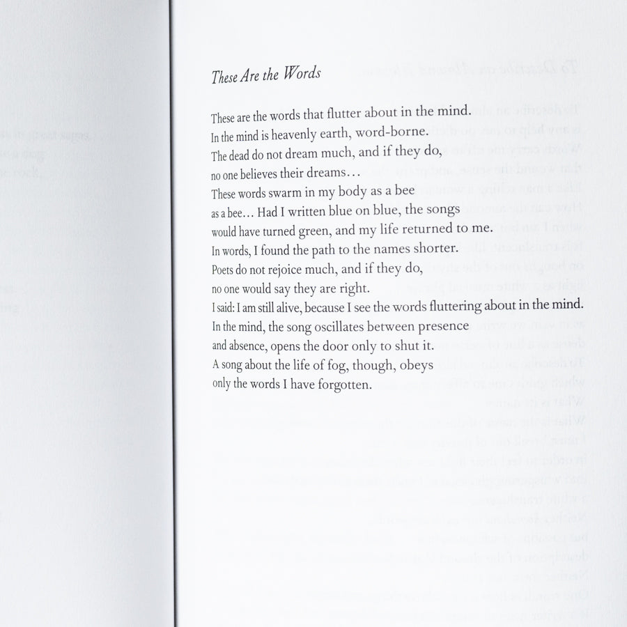 Almond Blossoms and Beyond、mySite、topwebapps