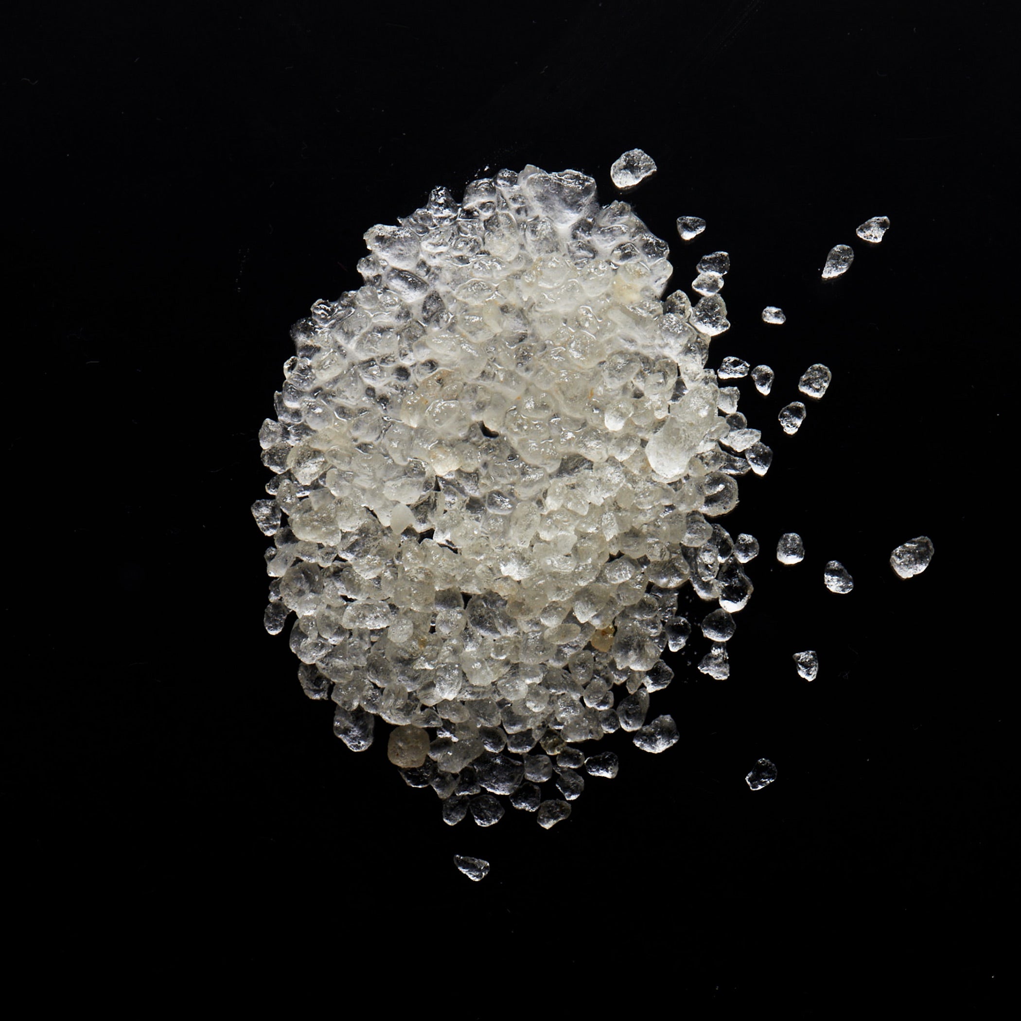 soak no. 3、mySite、bengalsvssteelers