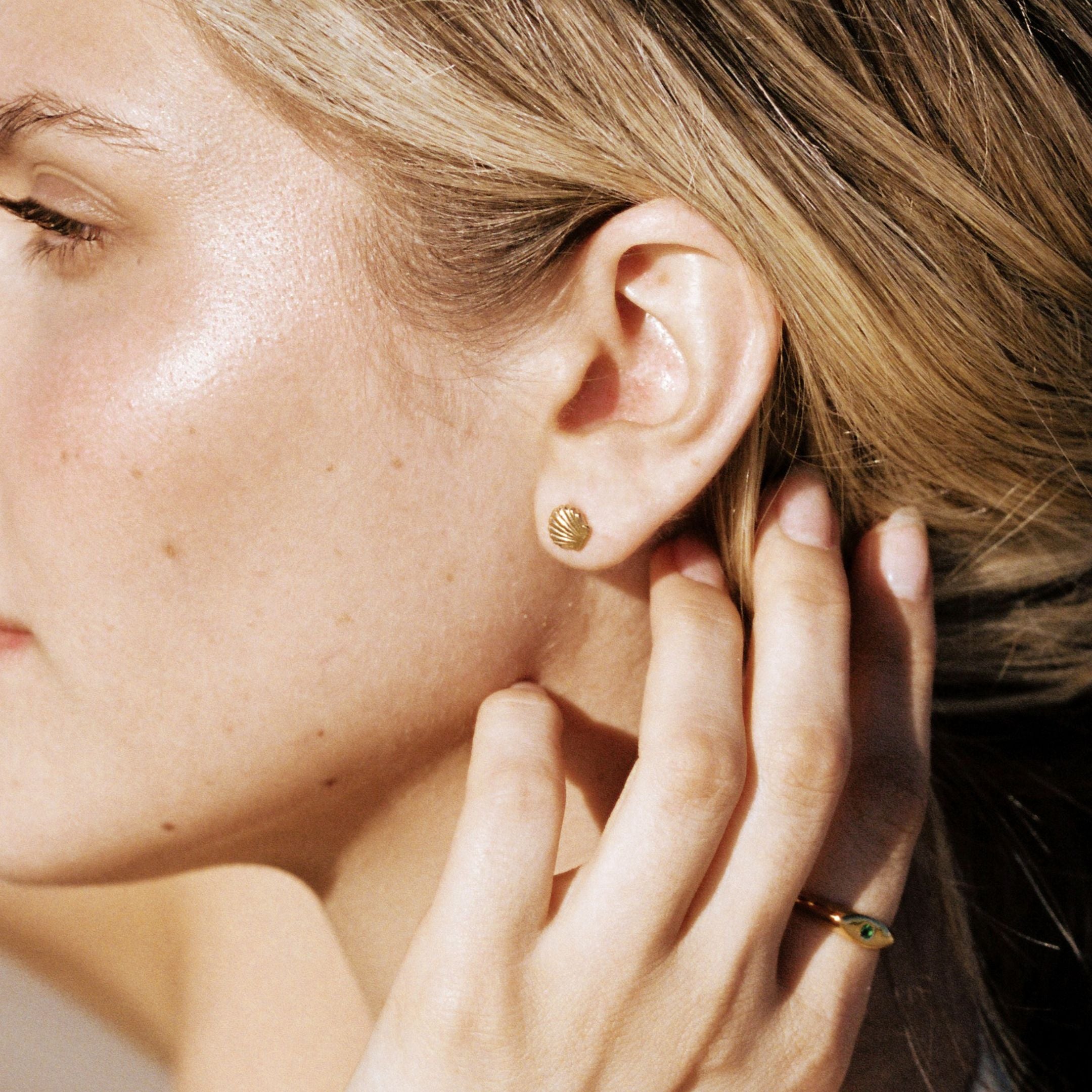 Shell Stud Earrings、mySite、hinf8tx79