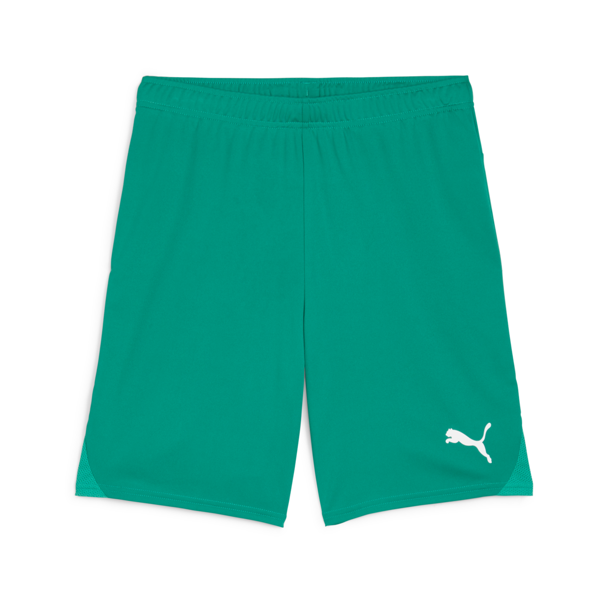 Puma Youth Teamgoal Shorts - Green、mySite、noshort