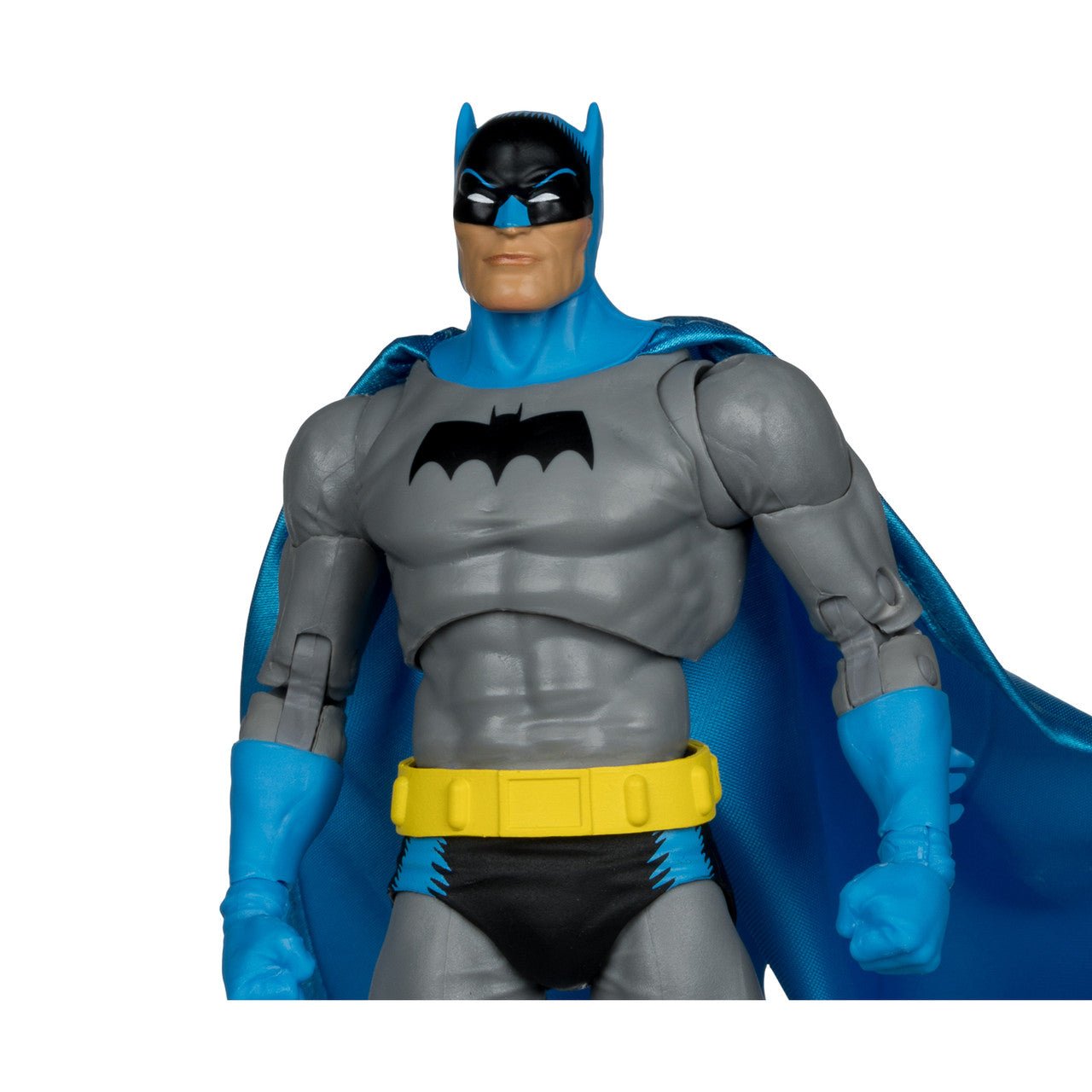 DC Multiverse Batman & Ace The Bat-Hound (Silver Age)、mySite、hgirdovlk