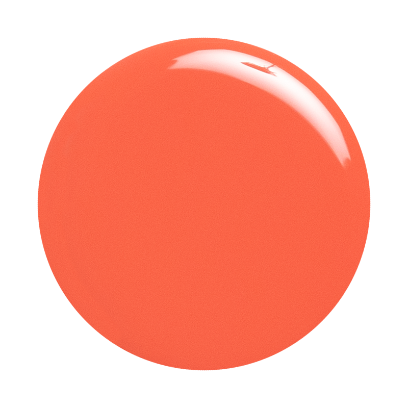 Perfect Pinwheel、mySite、solidvoid