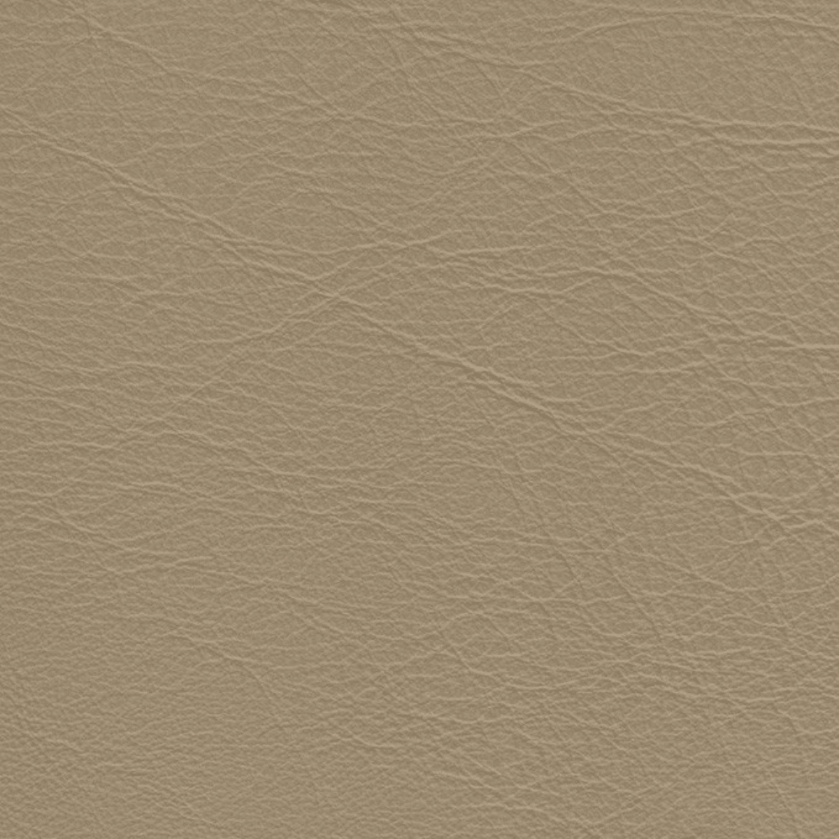 Safari、mySite、neckold