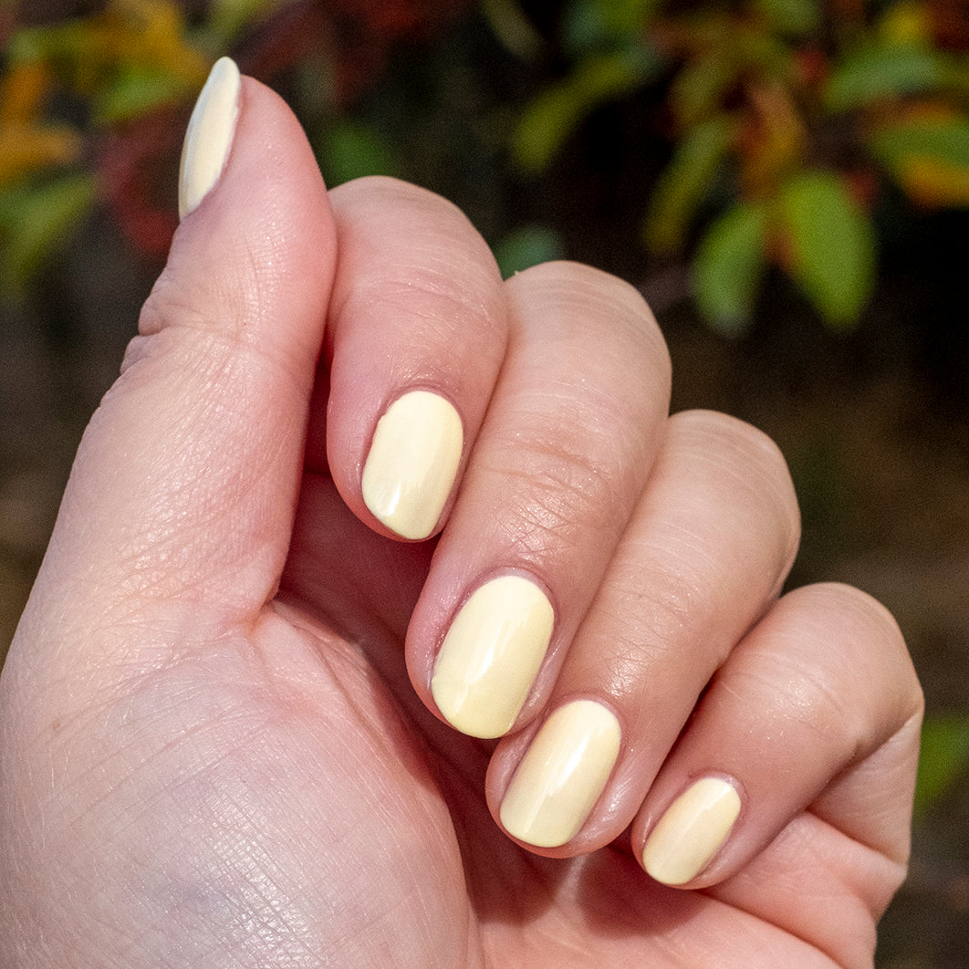 JLR、mySite、solidvoid