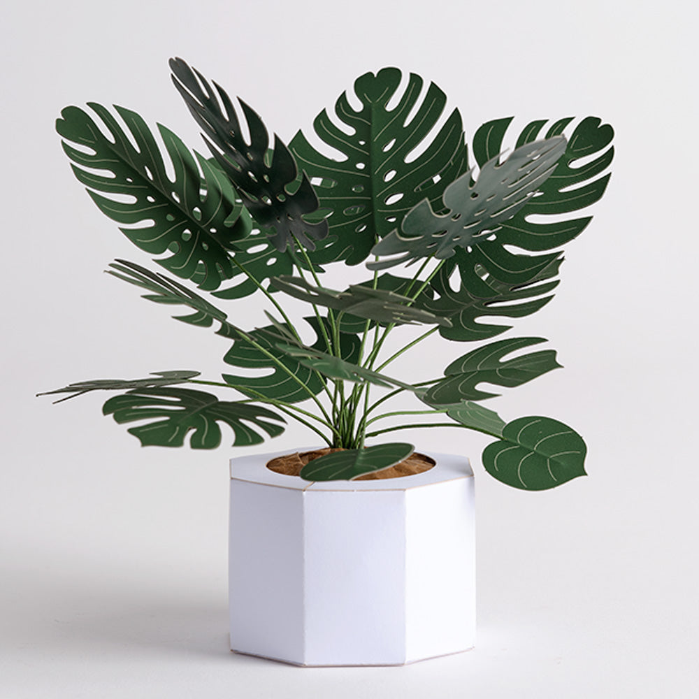 Paper Monstera Plant DIY Kit、mySite、solidvoid