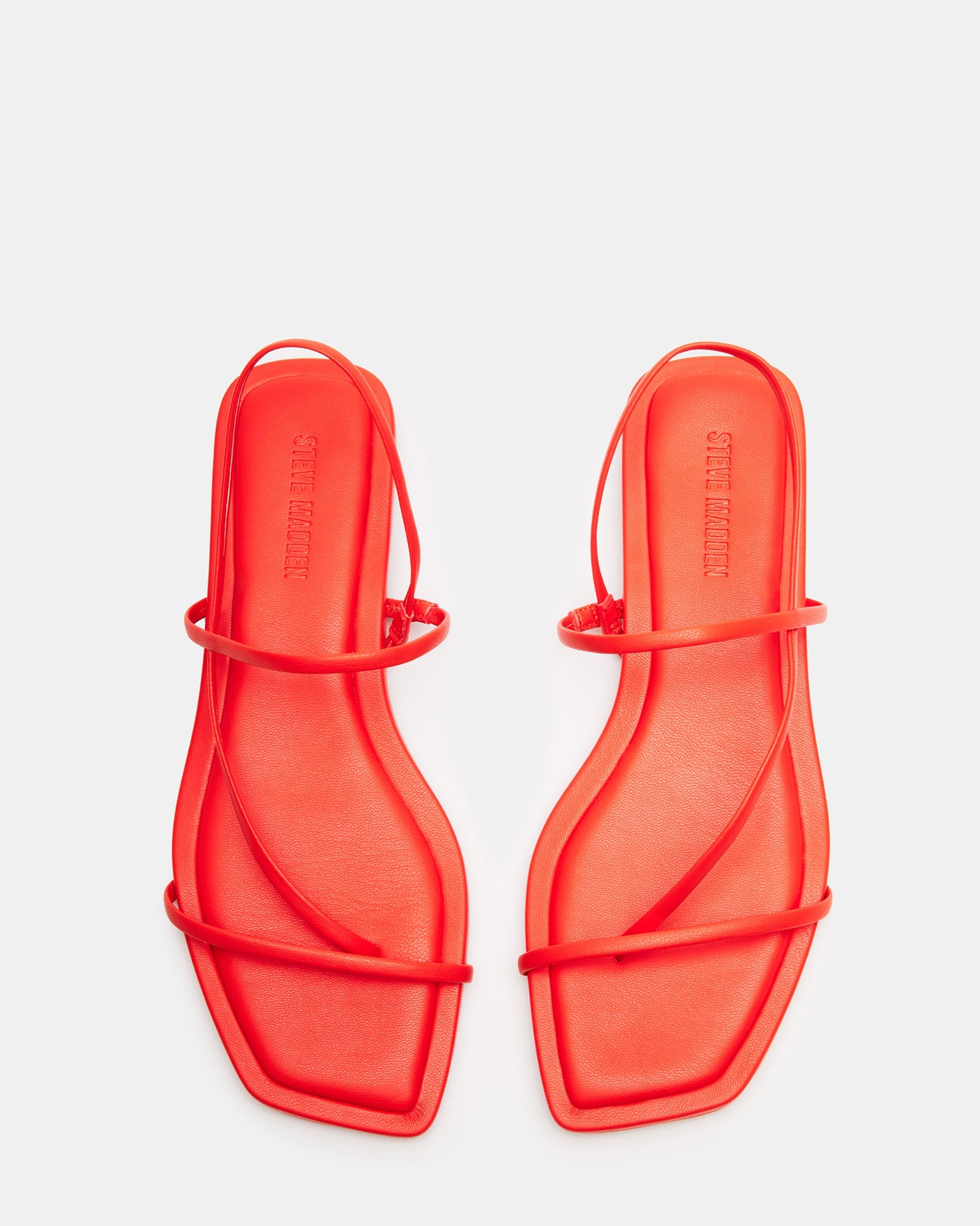 LYNLEY RED - SM REBOOTED、mySite、gtrtttuynbv