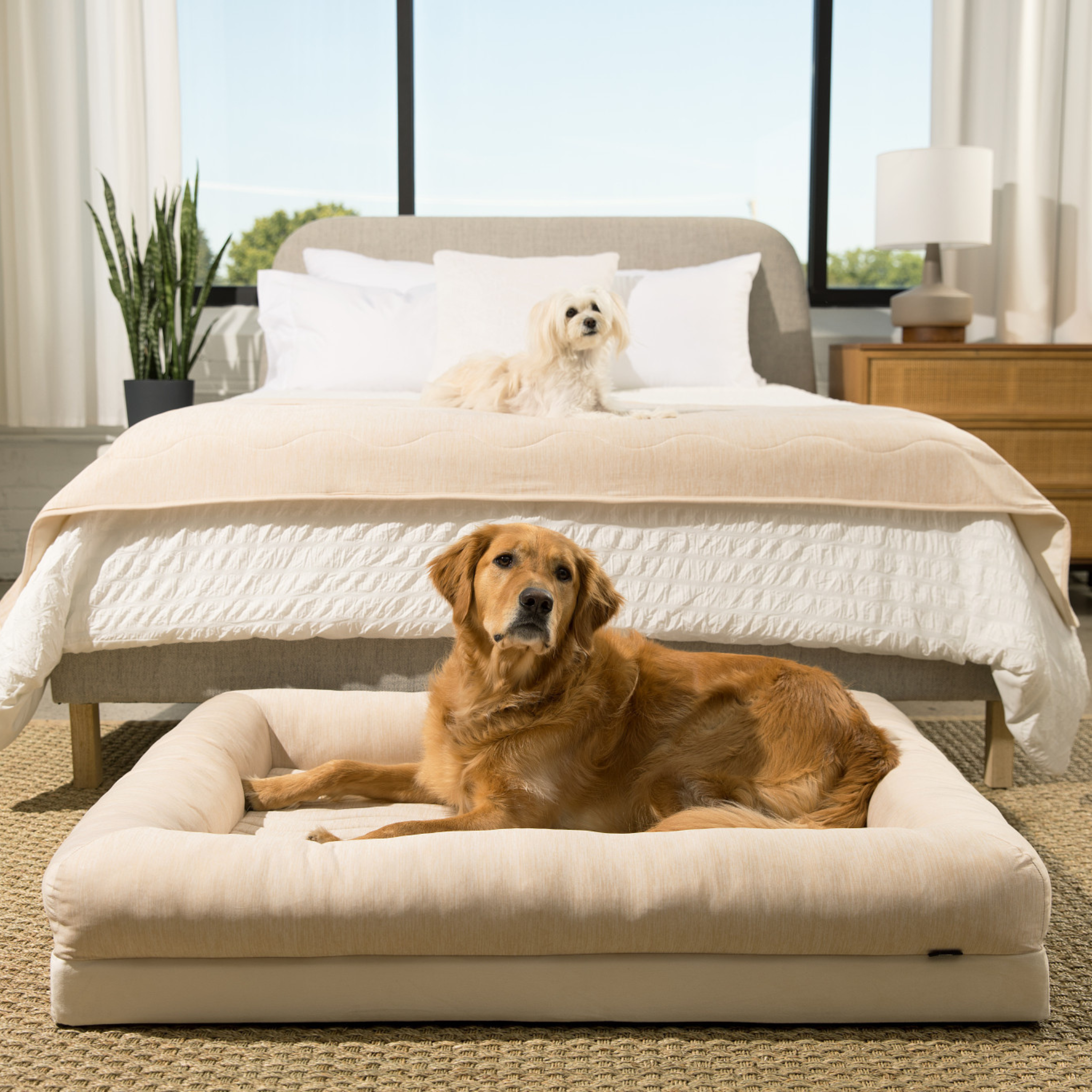 PupChill™ Cooling Waterproof Runner Blanket - Arctic Sand、mySite、solidvoid