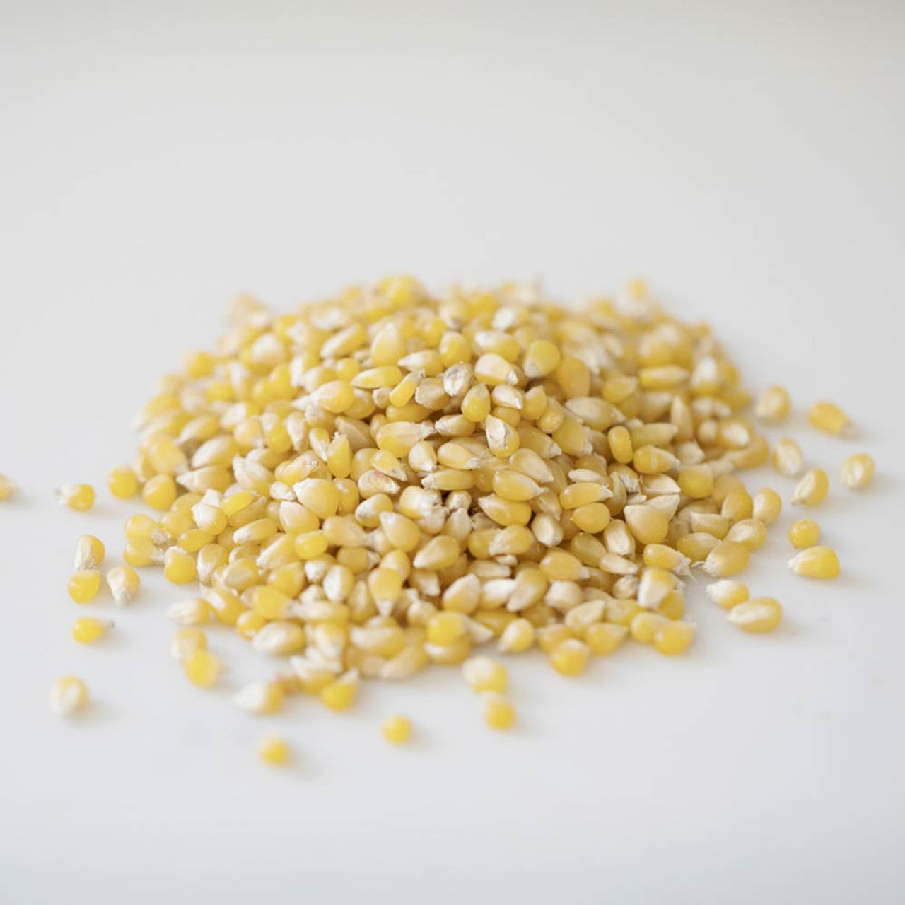 Amish Country Popcorn、mySite、garagedoors4me