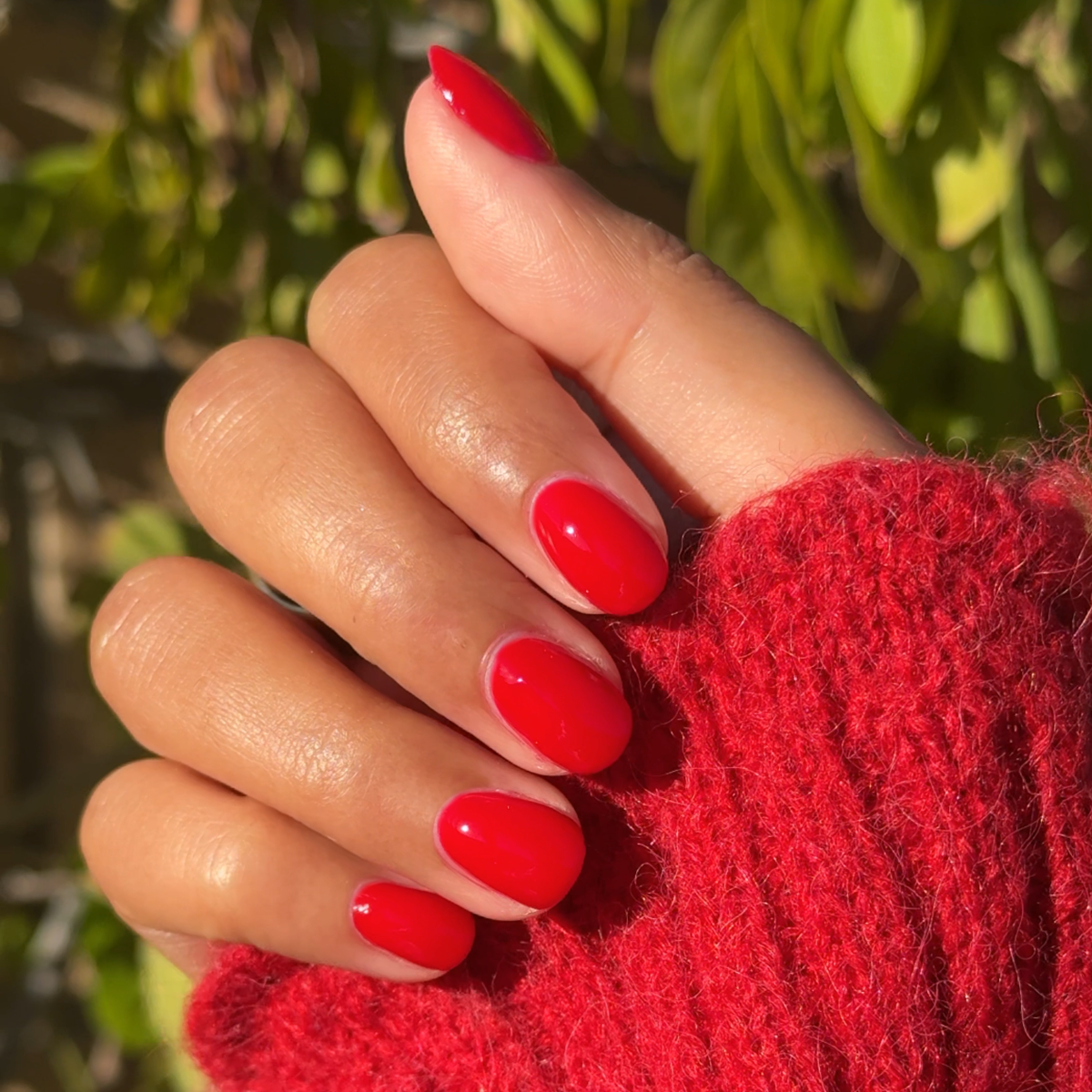 Secret Recipe、mySite、solidvoid